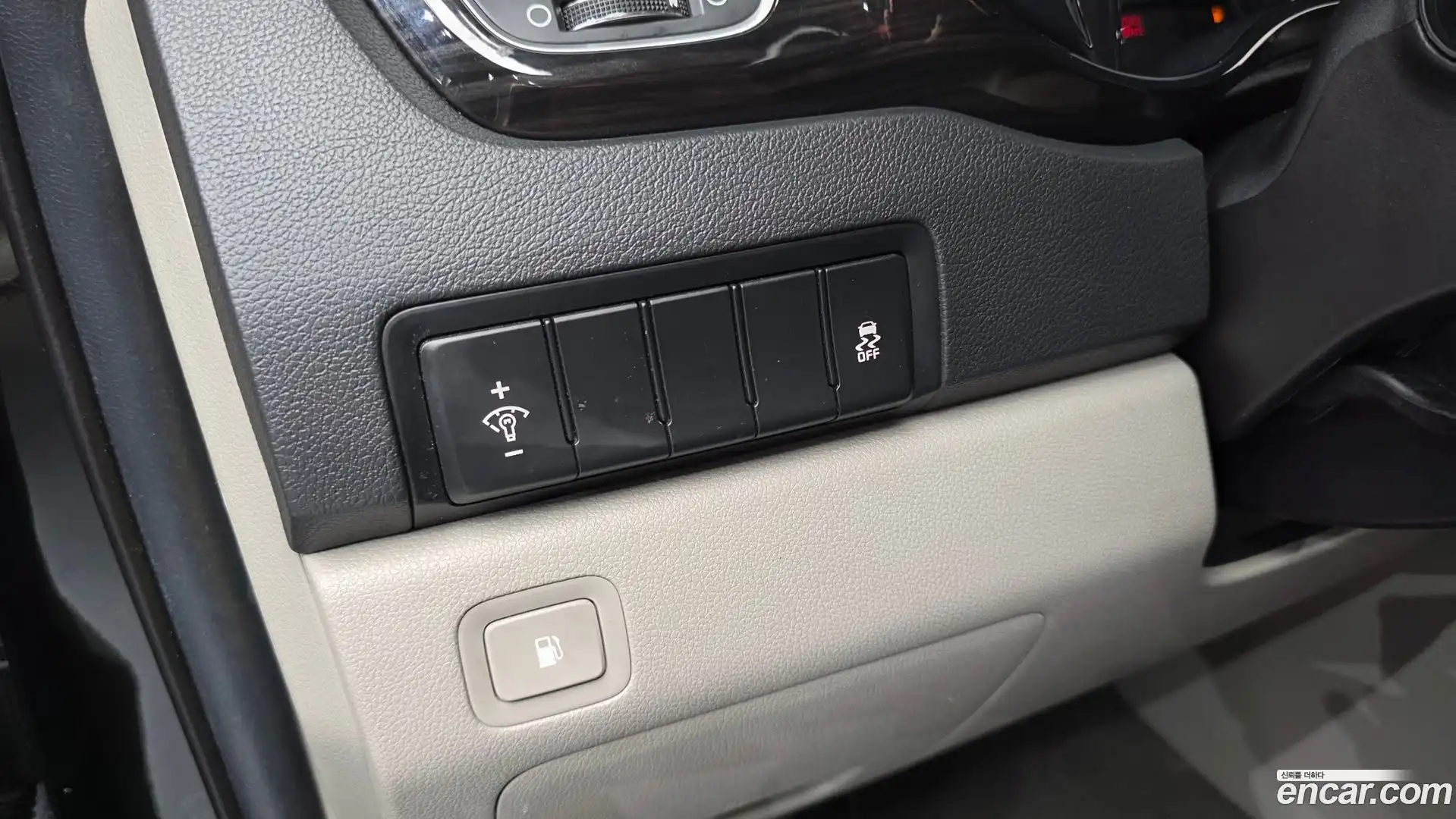 Canival Kia 2019.3-OPTION-022