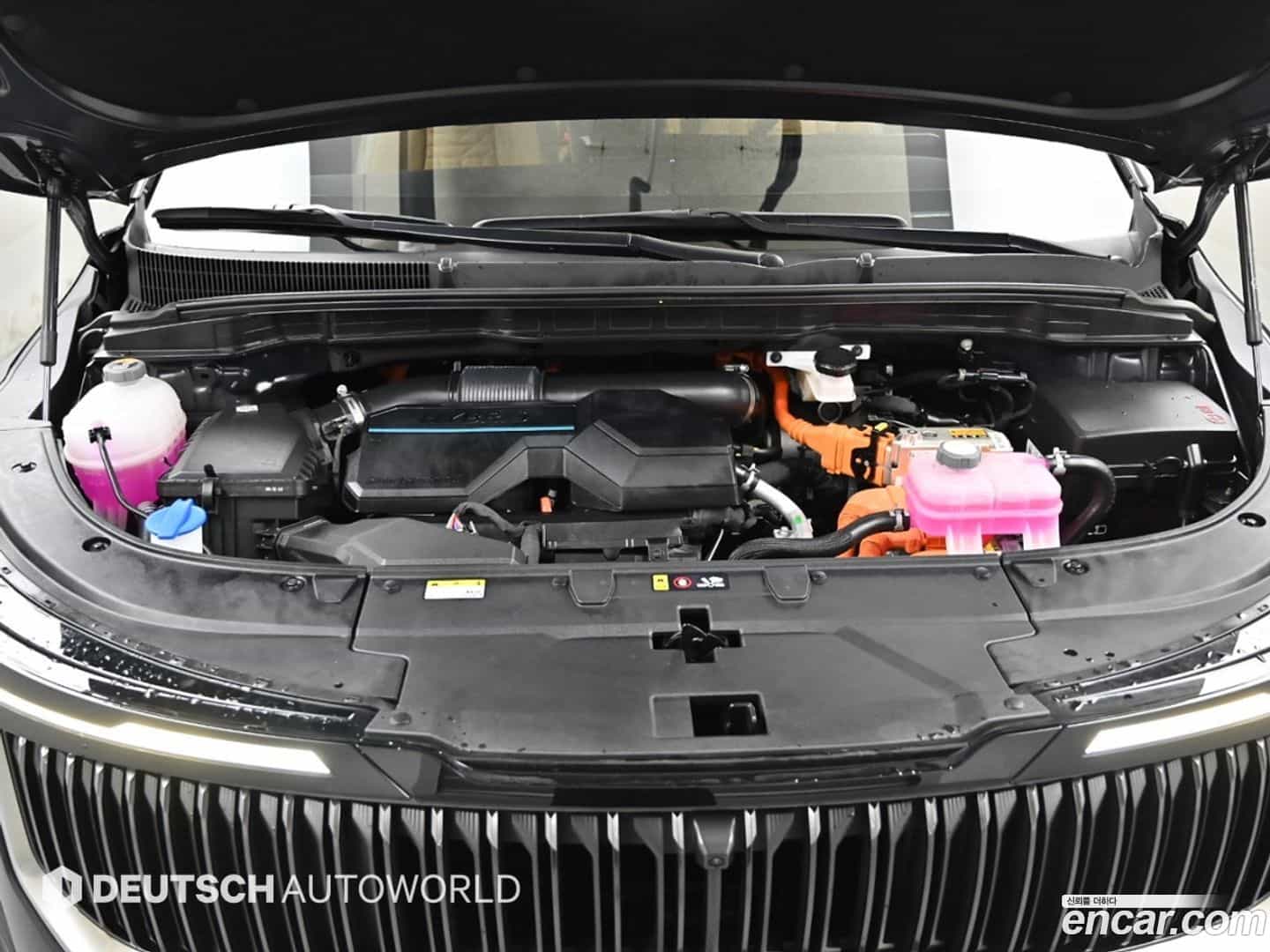 Canival Kia 2024.8-OUTER-006