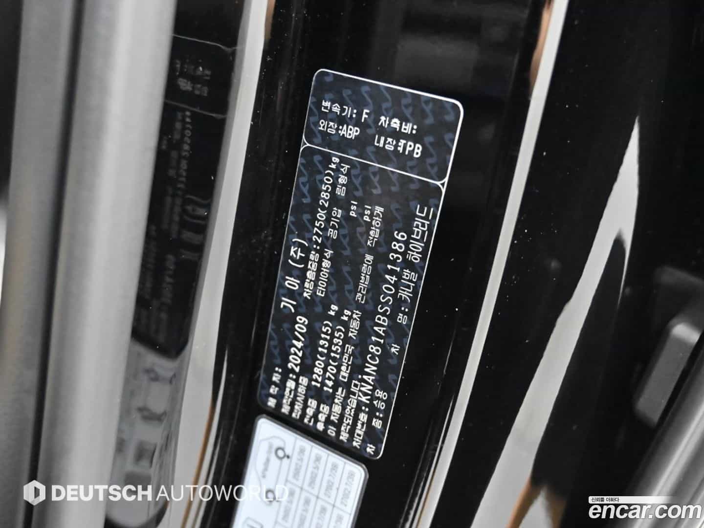 Canival Kia 2024.8-OPTION-024