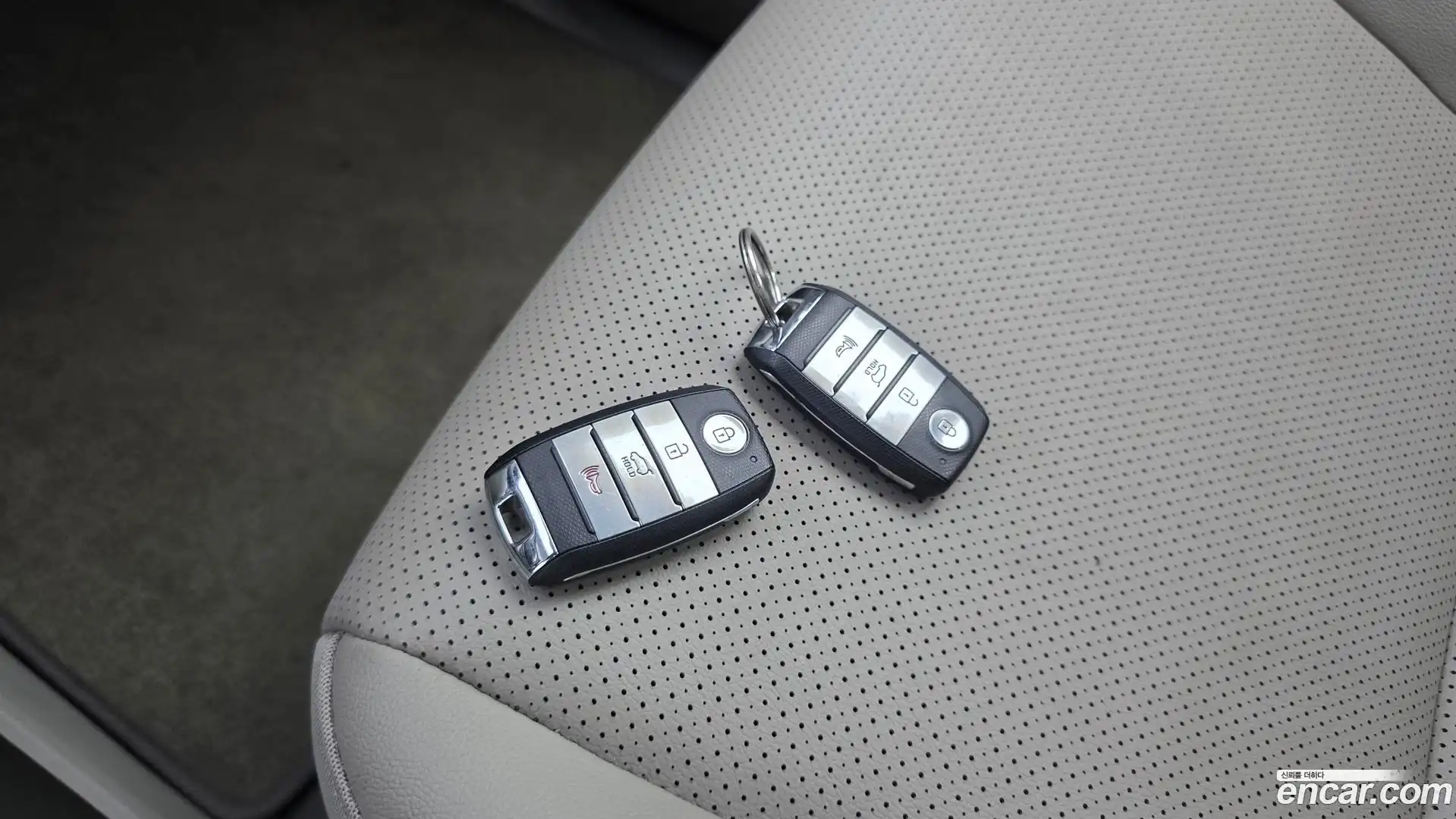 Canival Kia 2020.5-OPTION-022
