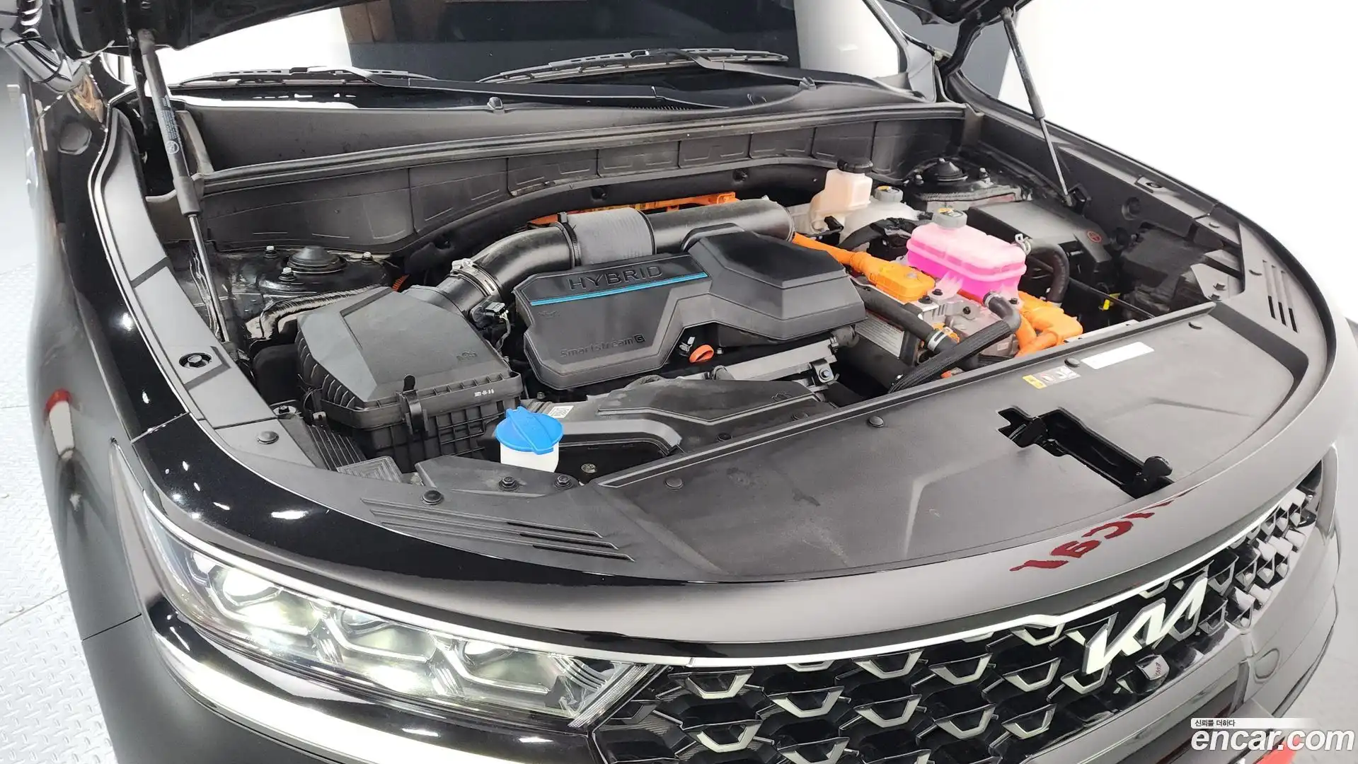 Sorento Kia 2023.5-OUTER-006