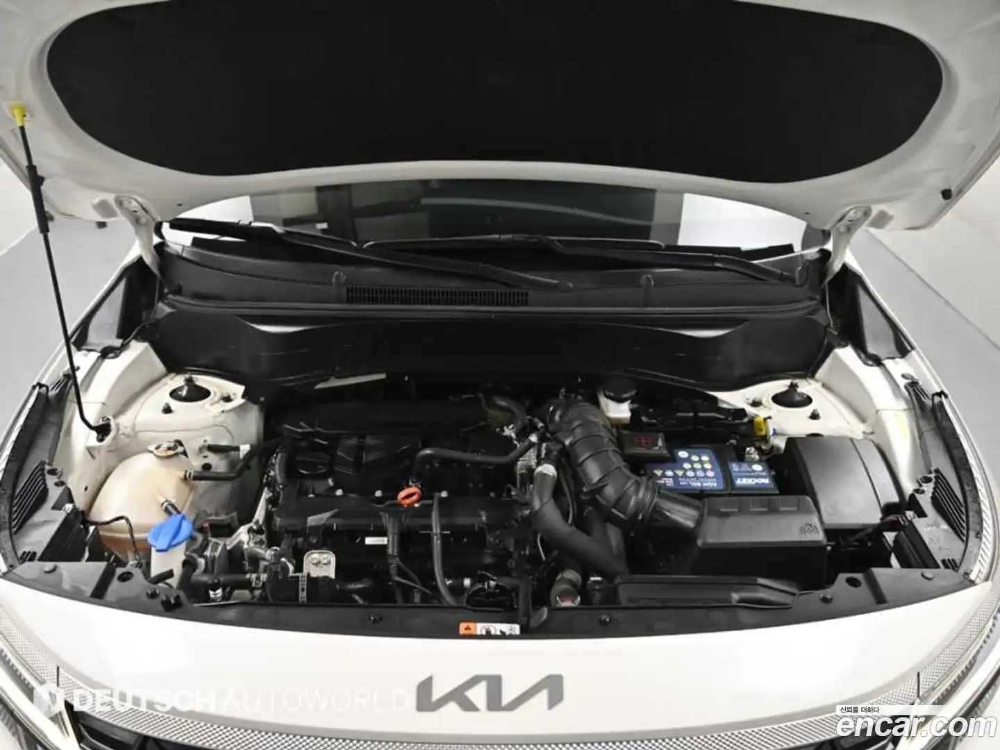 Seltos Kia 2022.8-OUTER-006