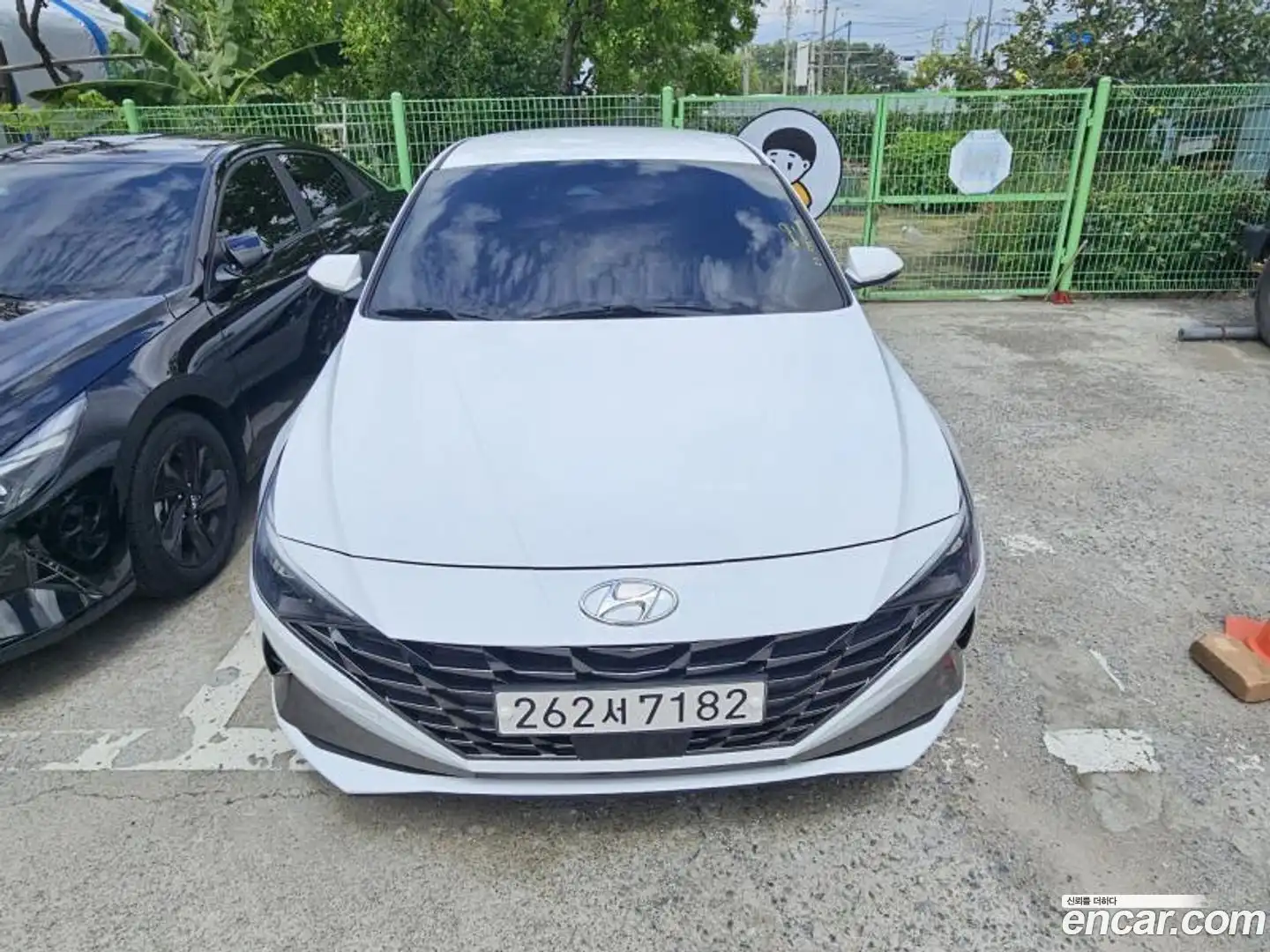 AVANTE Hyundai 2020.8-OUTER-002
