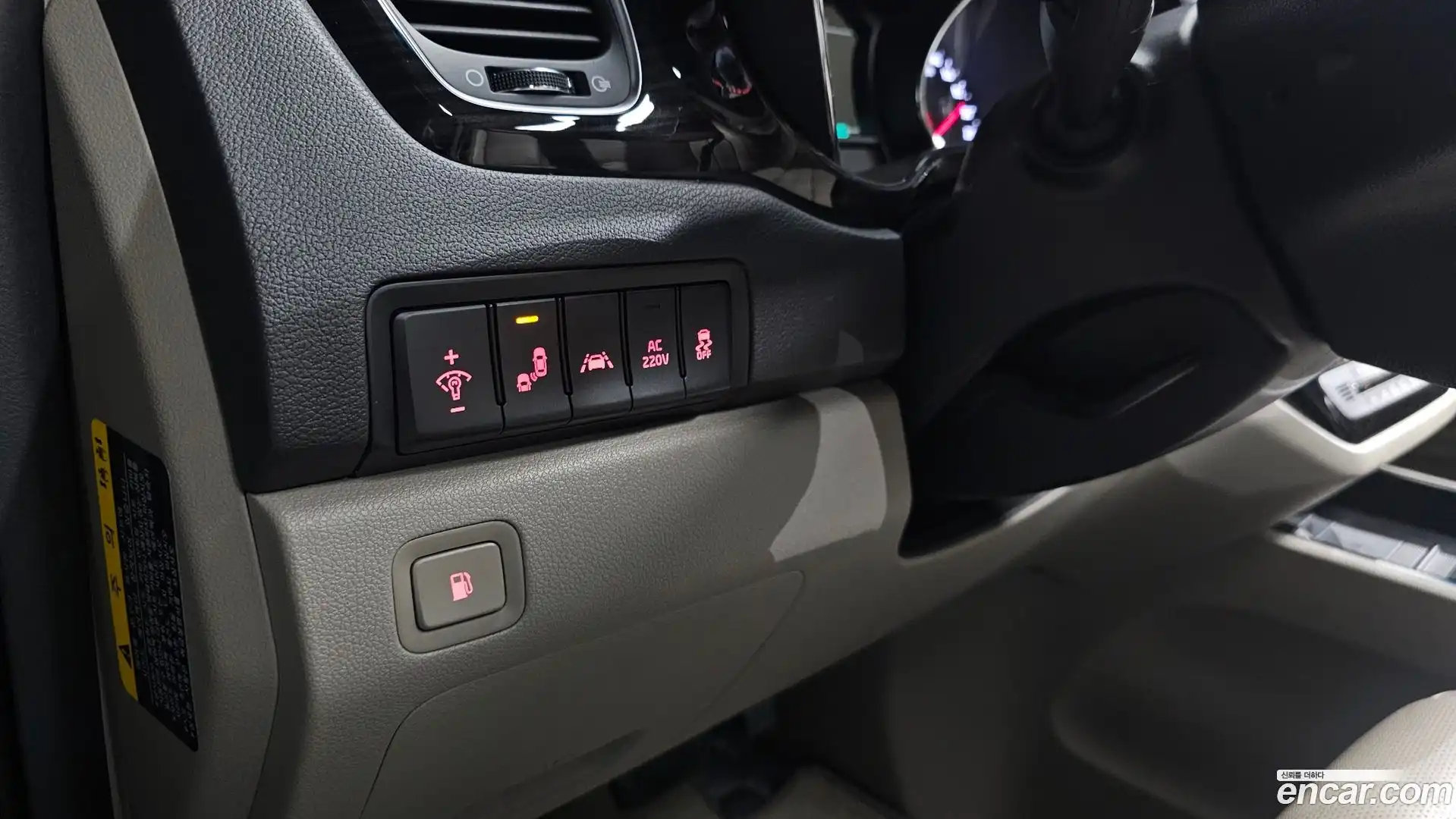 Canival Kia 2019.6-OPTION-020
