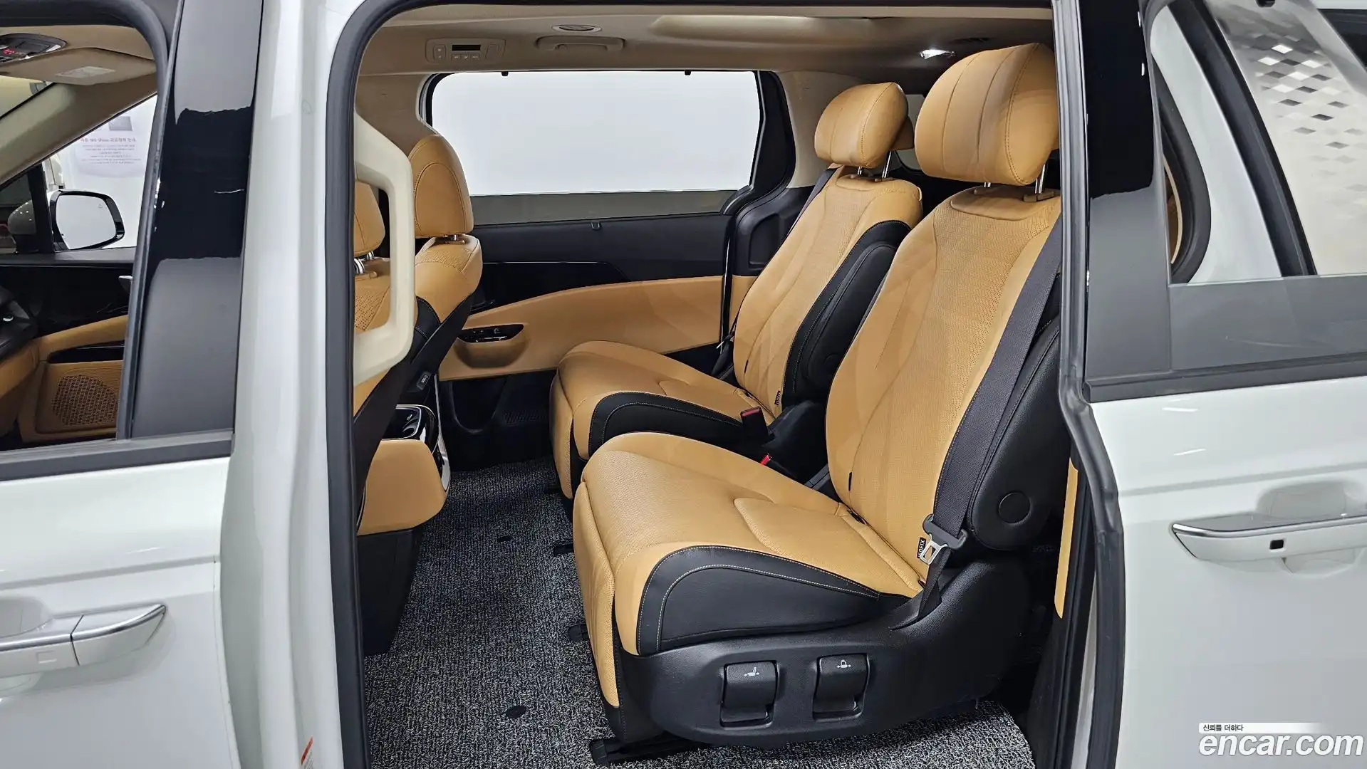 Canival Kia 2023.8-OPTION-016