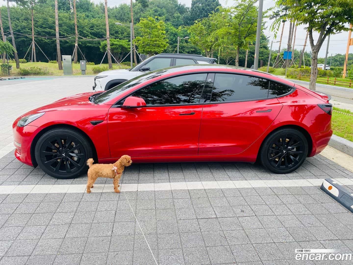 Model 3 Tesla 2022.2-OUTER-001