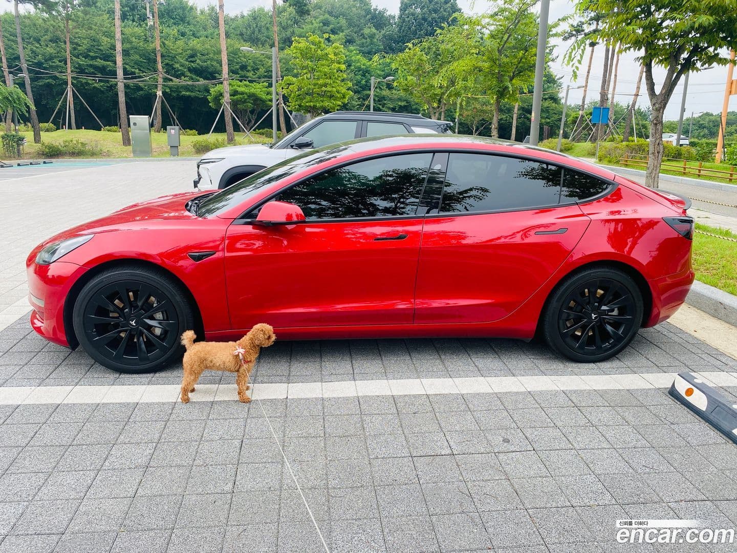 Main__Slider__Photo:Model 3 Tesla 2022.2-0