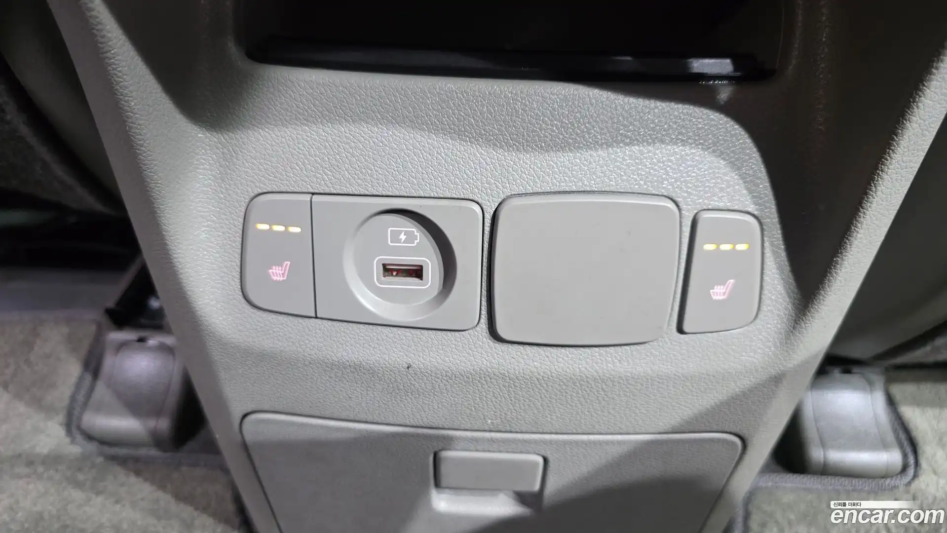 Canival Kia 2019.3-OPTION-023