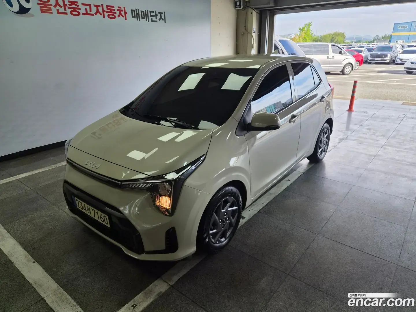 Main__Slider__Photo:morning Kia 2024.9-1