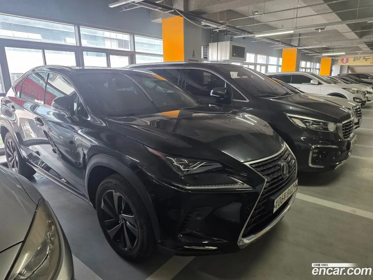 Main__Slider__Photo:NX Lexus 2021.4-1