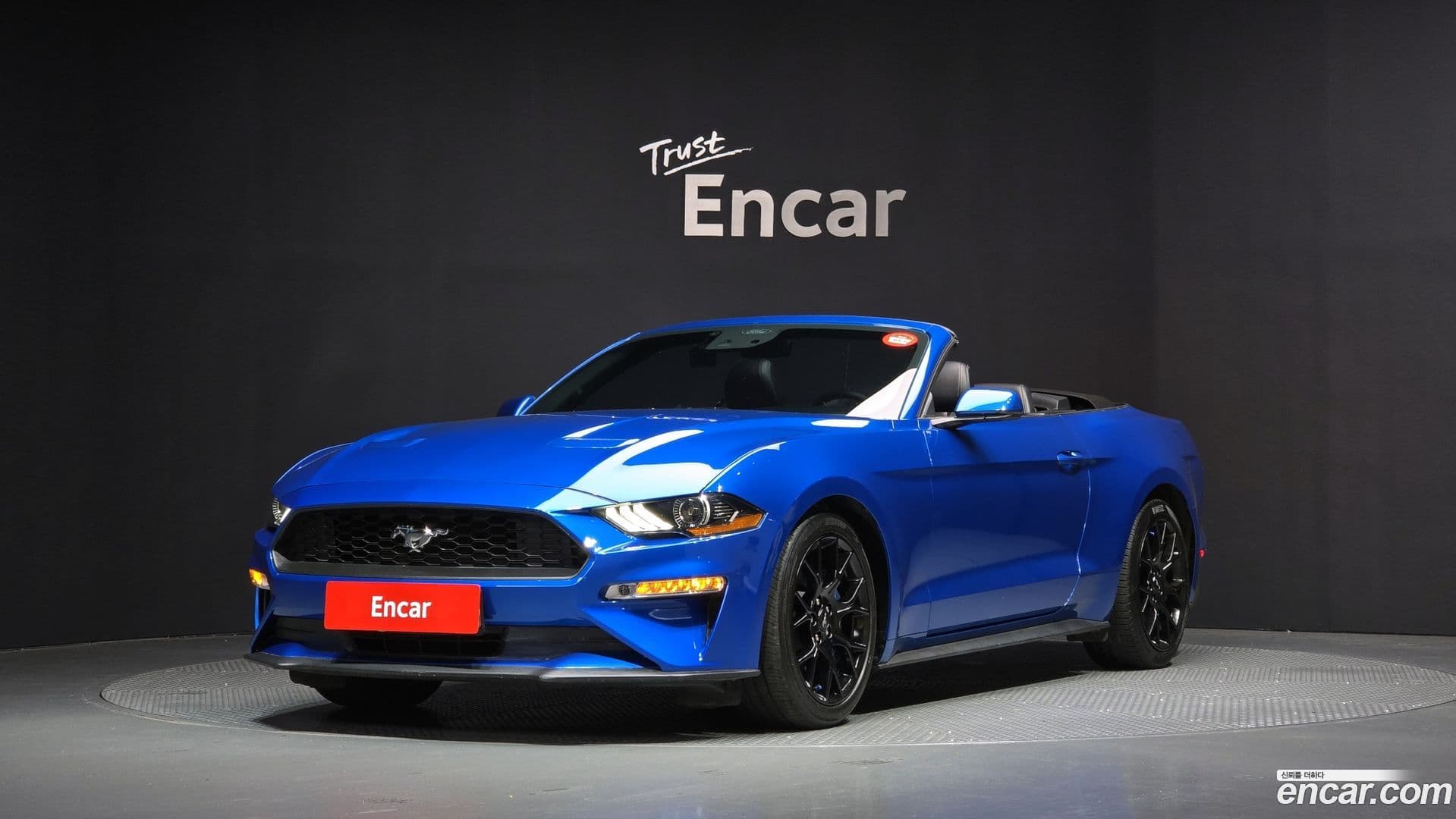 Main__Slider__Photo:Mustang Ford 2020.11-0
