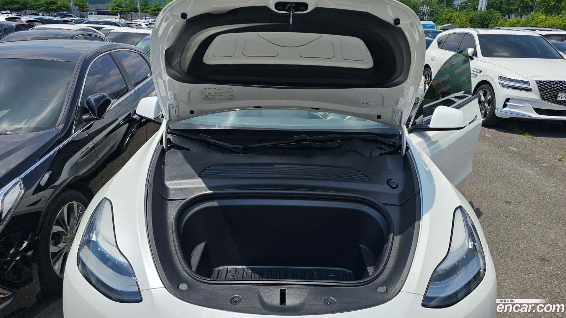 Main__Slider__Photo:Model Y Tesla 2021.5-10
