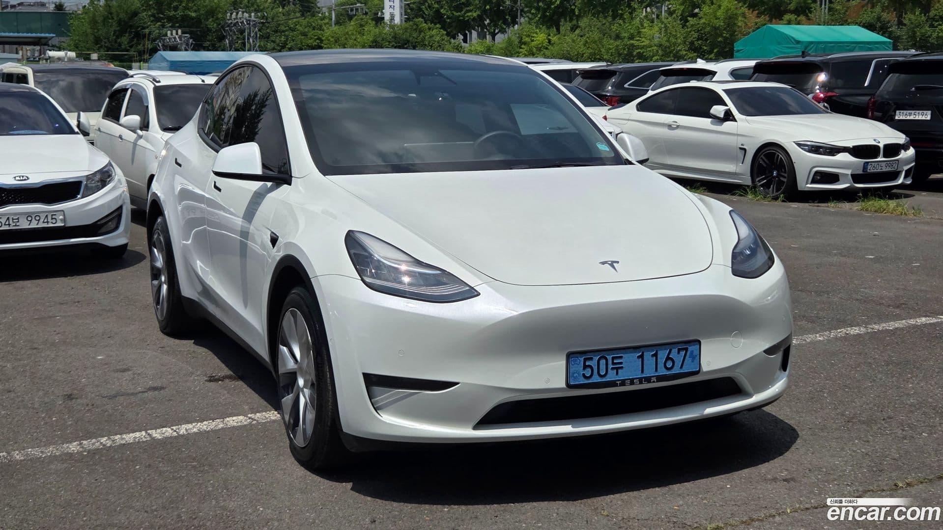 Main__Slider__Photo:Model Y Tesla 2021.5-12