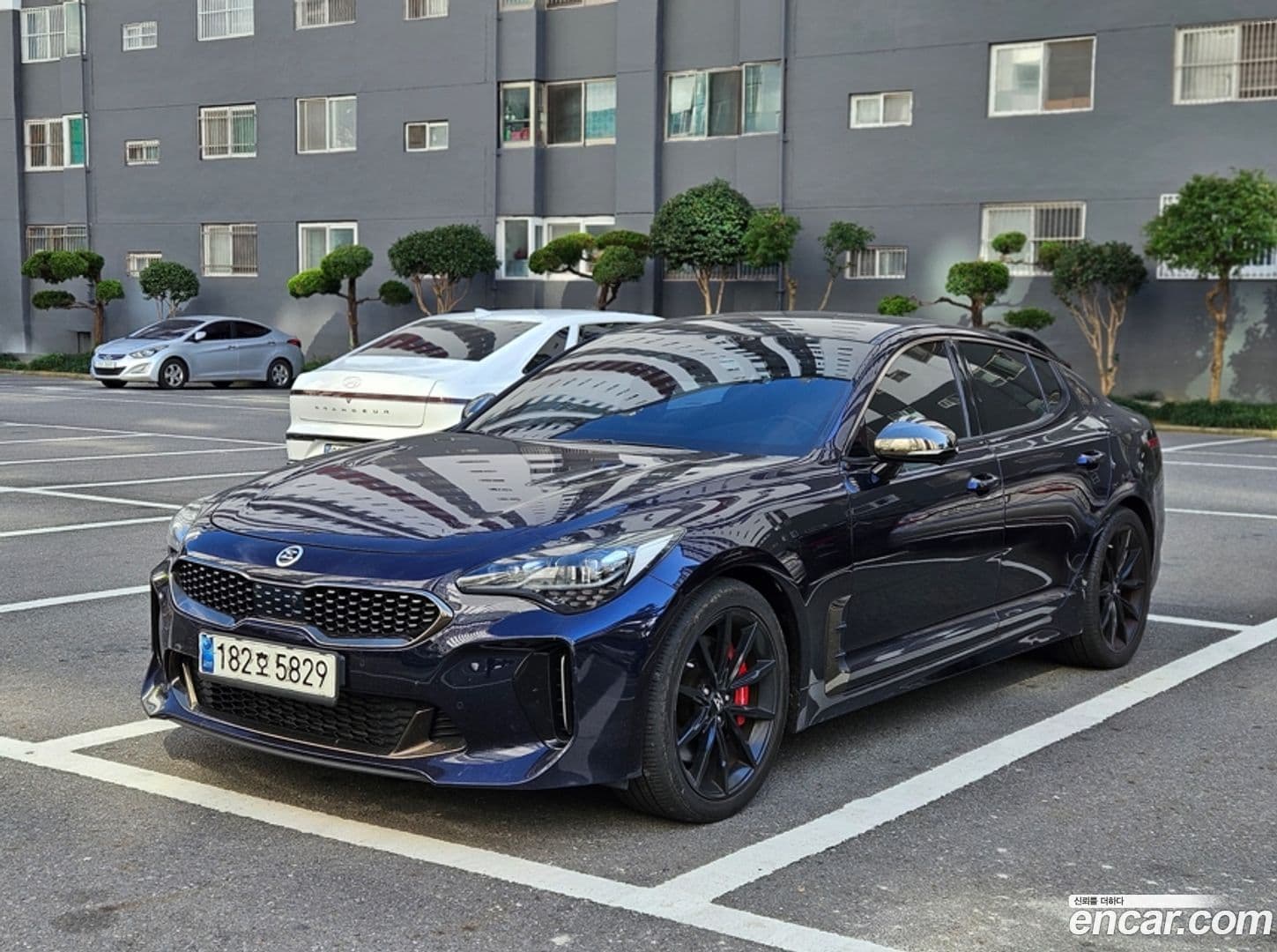 Main__Slider__Photo:Stinger Kia 2021.2-0