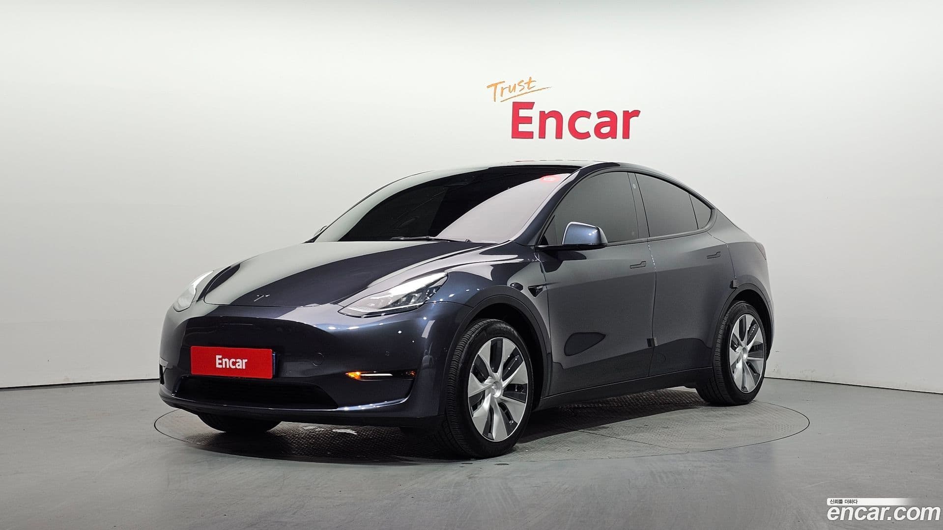 Main__Slider__Photo:Model Y Tesla 2021.8-0