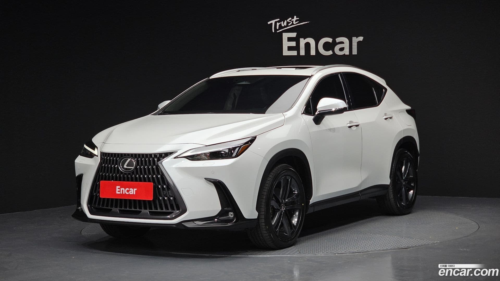 Main__Slider__Photo:NX Lexus 2024.2-0