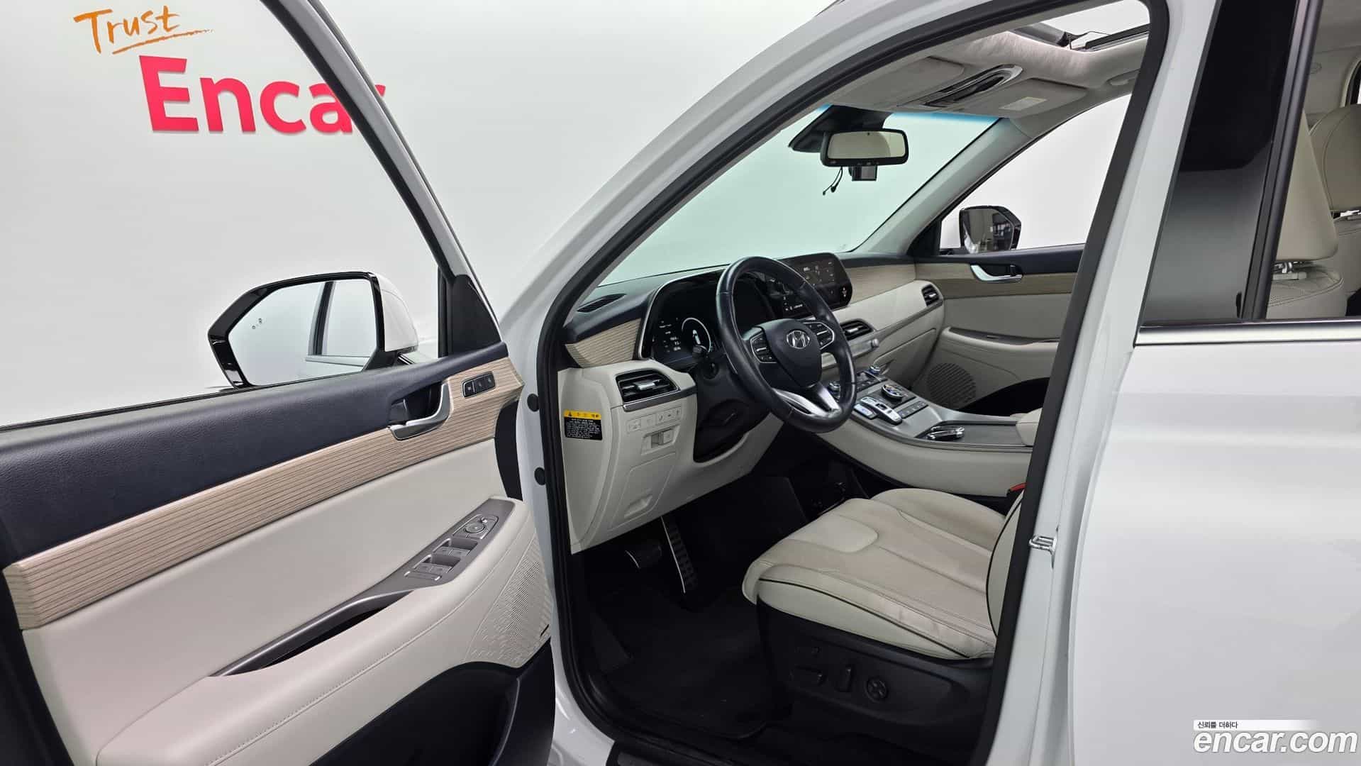 Palisade Hyundai 2020.9-OPTION-17