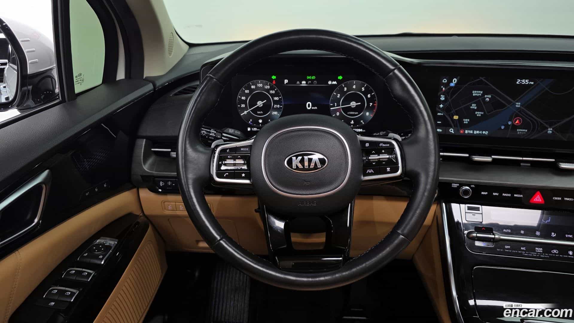 Canival Kia 2020.11-OPTION-17