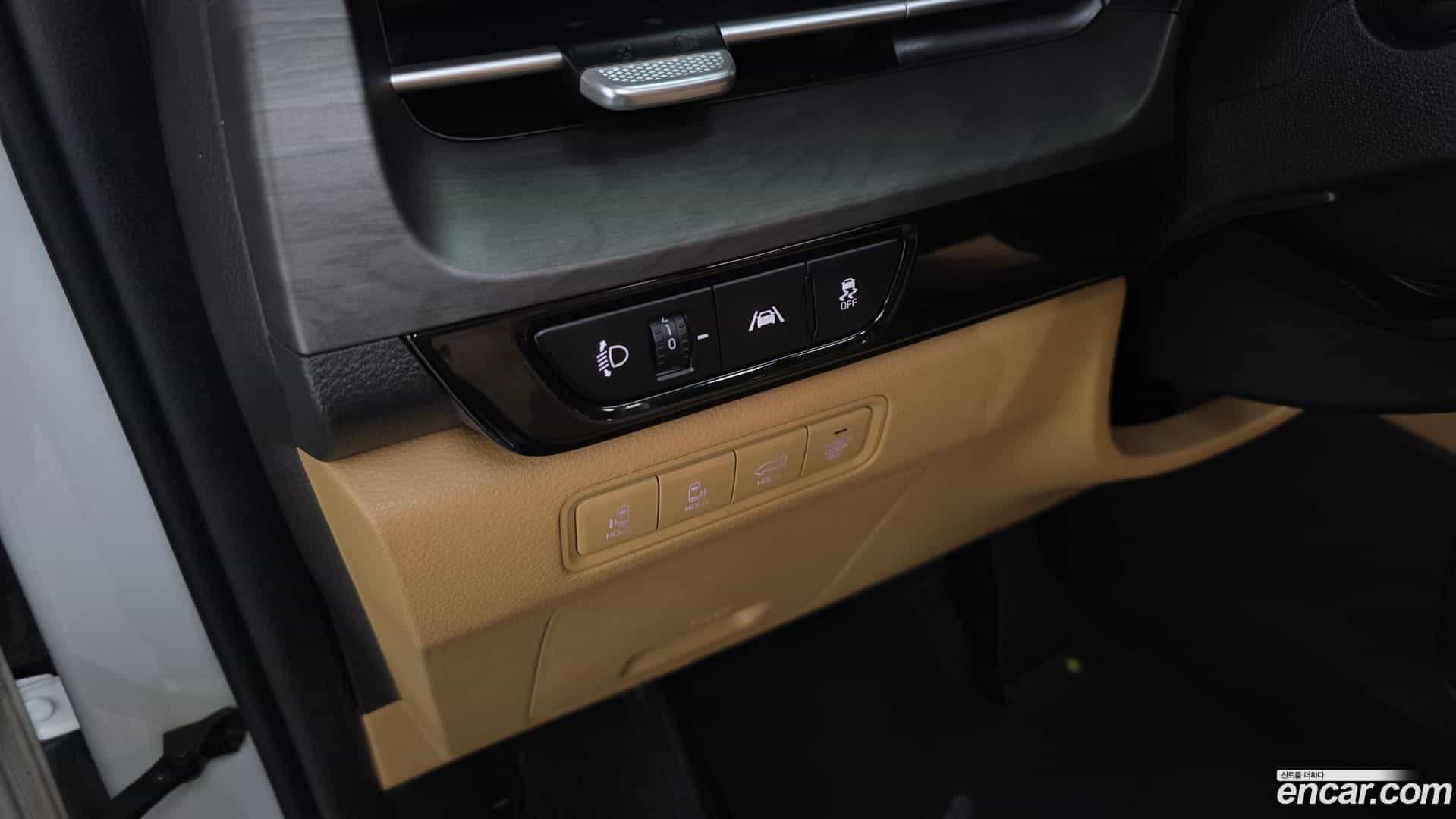 Canival Kia 2020.11-OPTION-22