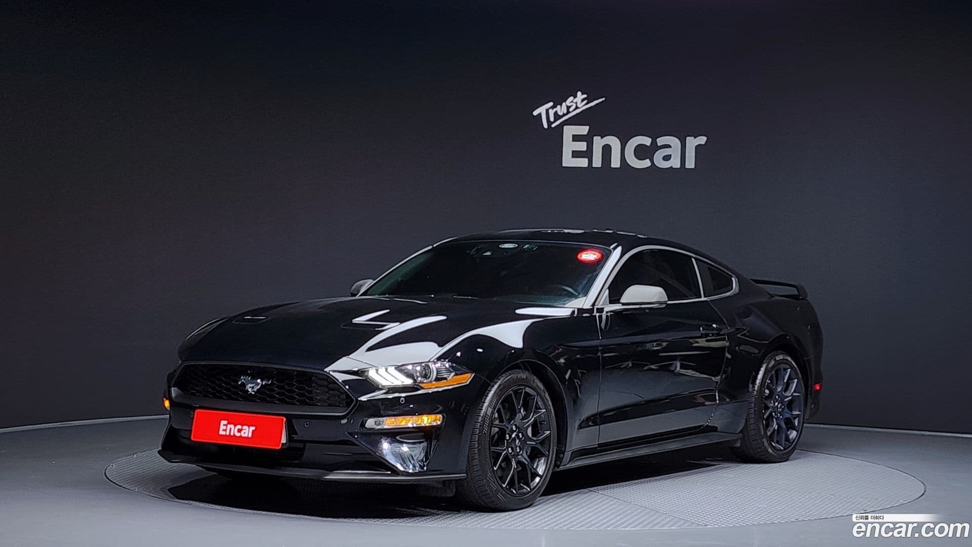 Main__Slider__Photo:Mustang Ford 2021.11-0