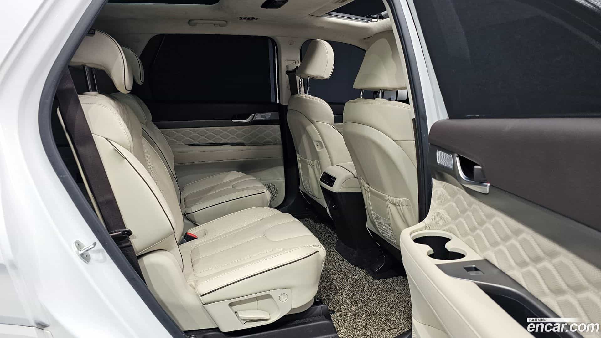 Palisade Hyundai 2020.4-OPTION-015