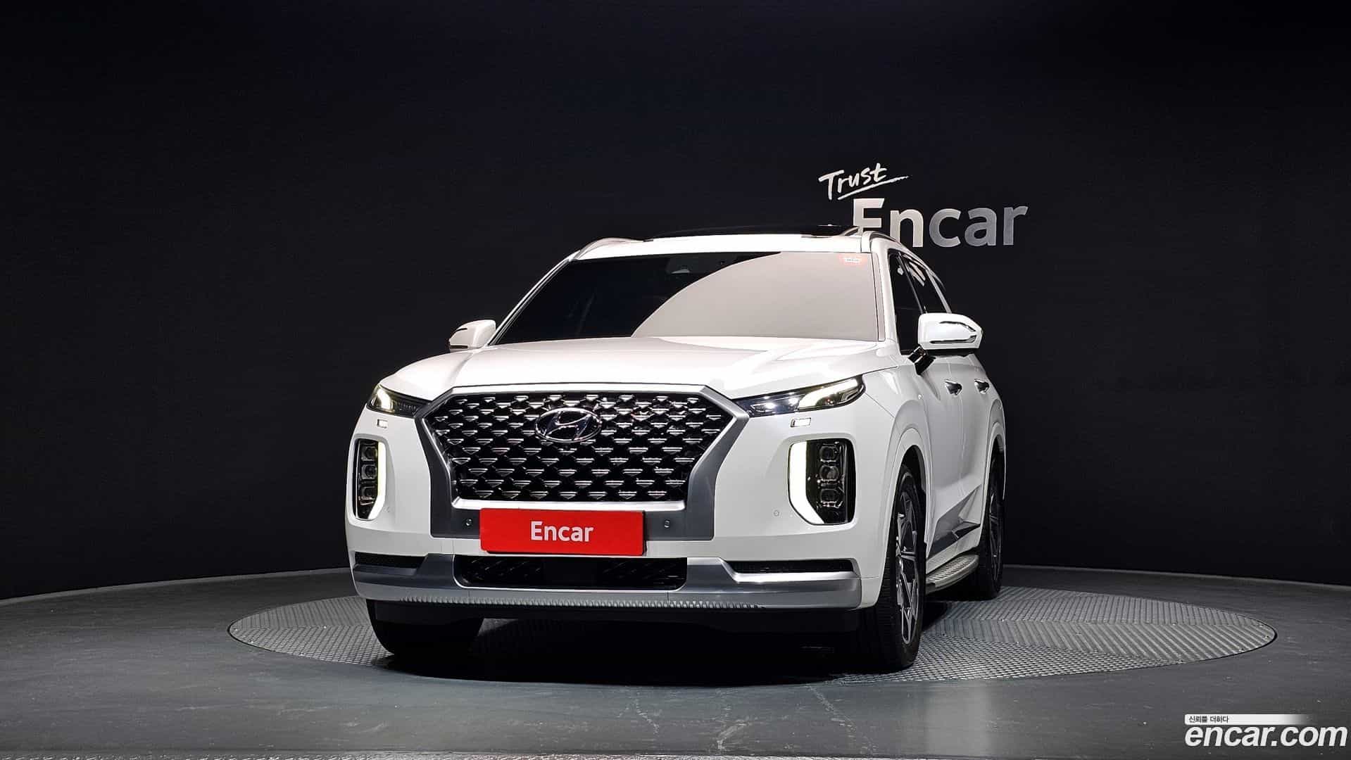Palisade Hyundai 2020.11-OUTER-003