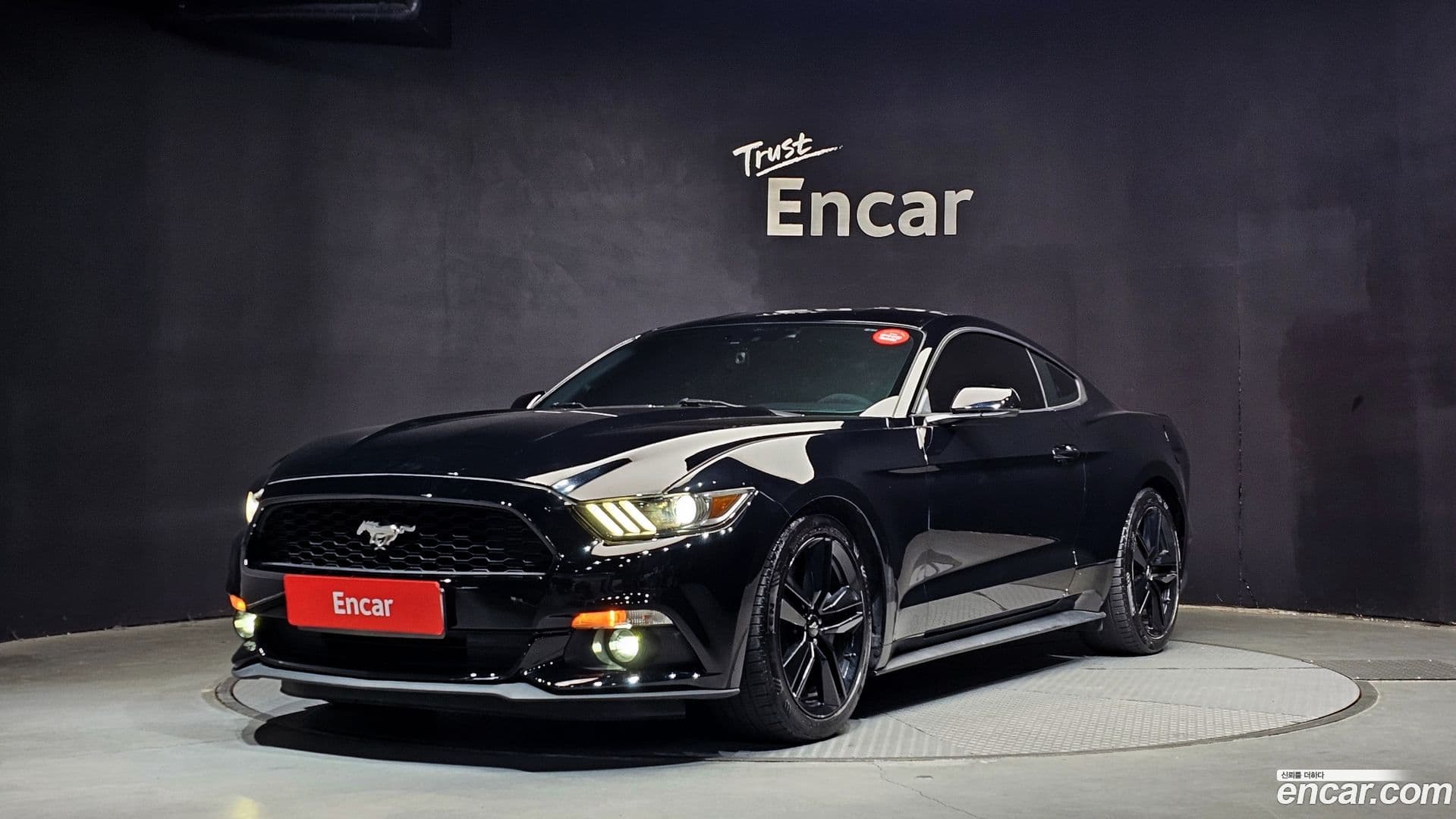 Main__Slider__Photo:Mustang Ford 2016.9-0
