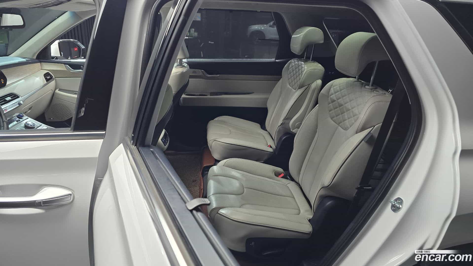 Palisade Hyundai 2019.11-OPTION-016