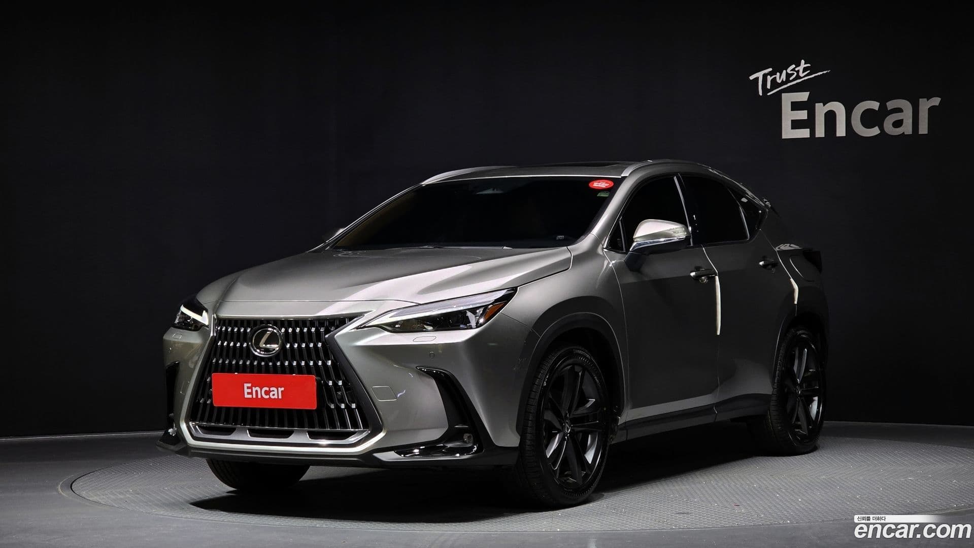 Main__Slider__Photo:NX Lexus 2025.6-0