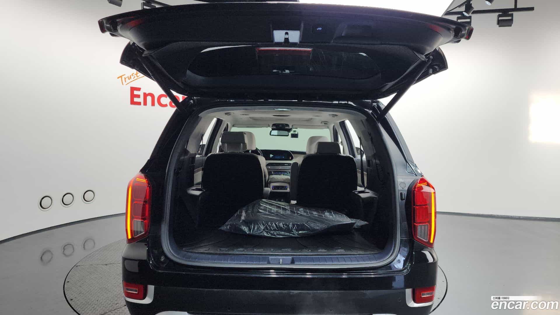 Palisade Hyundai 2020.5-OPTION-024