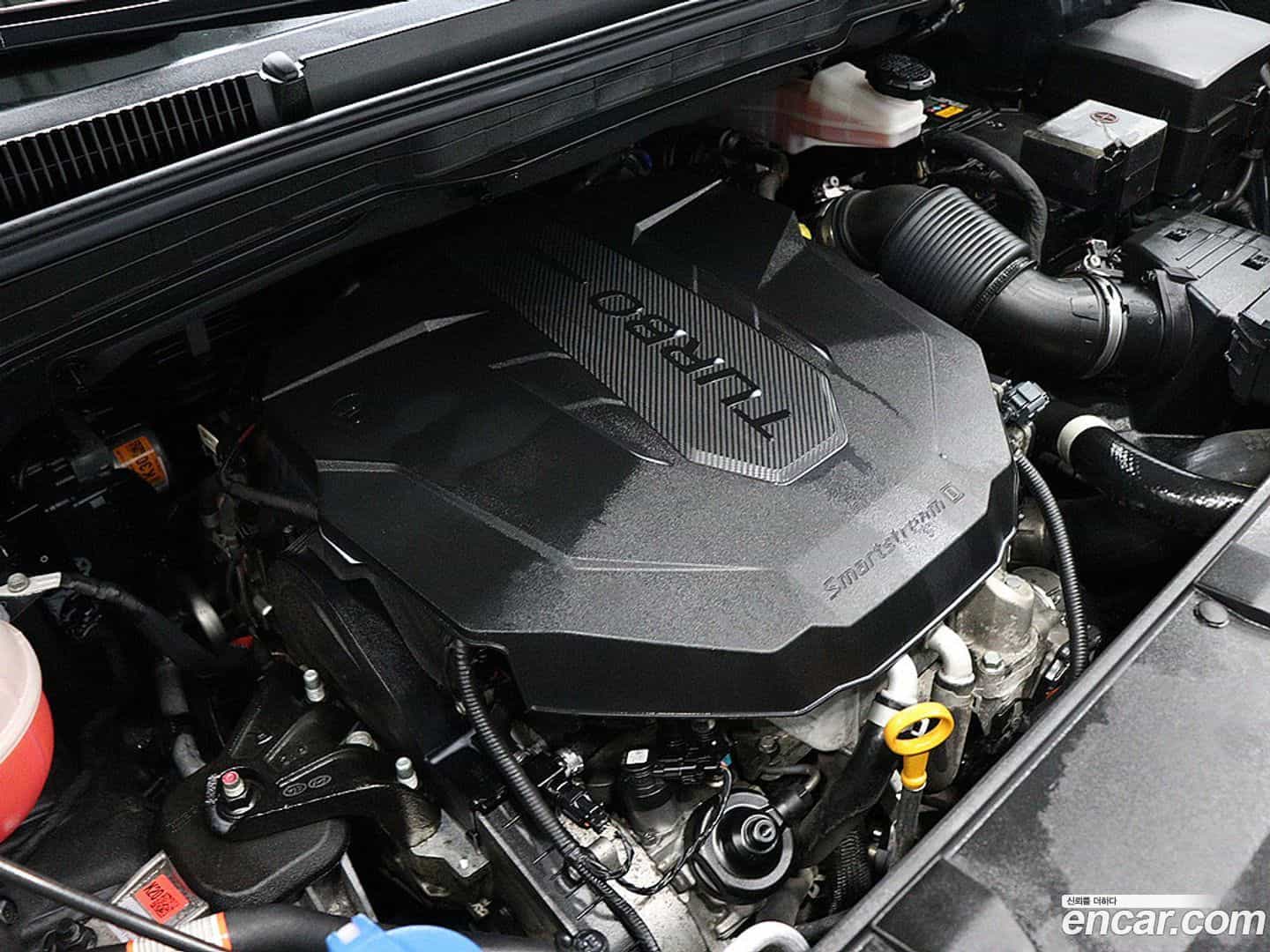 Canival Kia 2021.2-OPTION-023