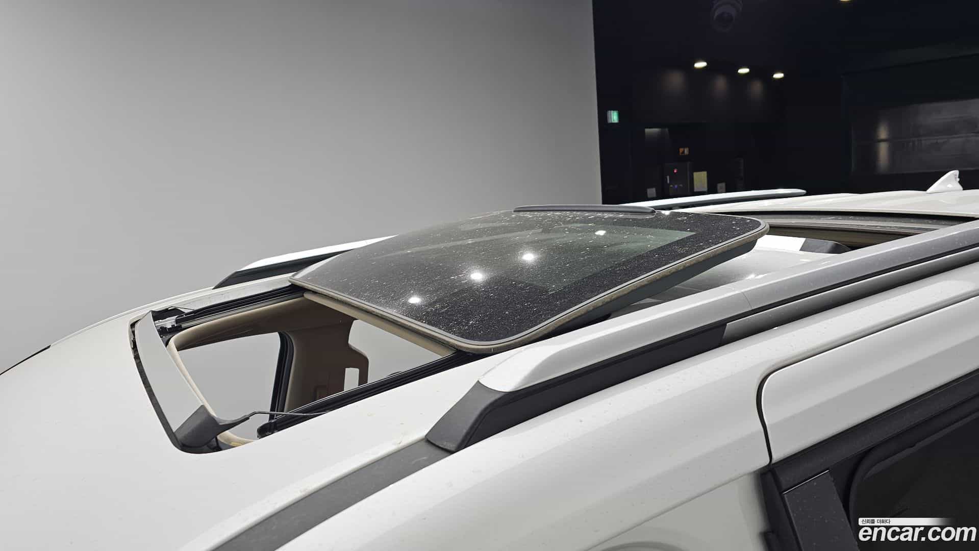 Canival Kia 2020.11-OPTION-023