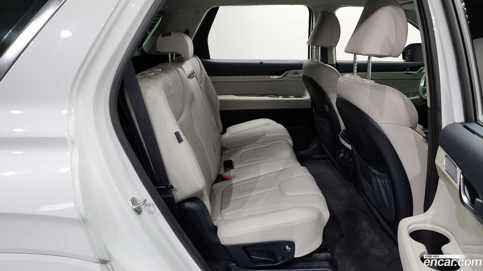 Palisade Hyundai 2022.10-OPTION-016