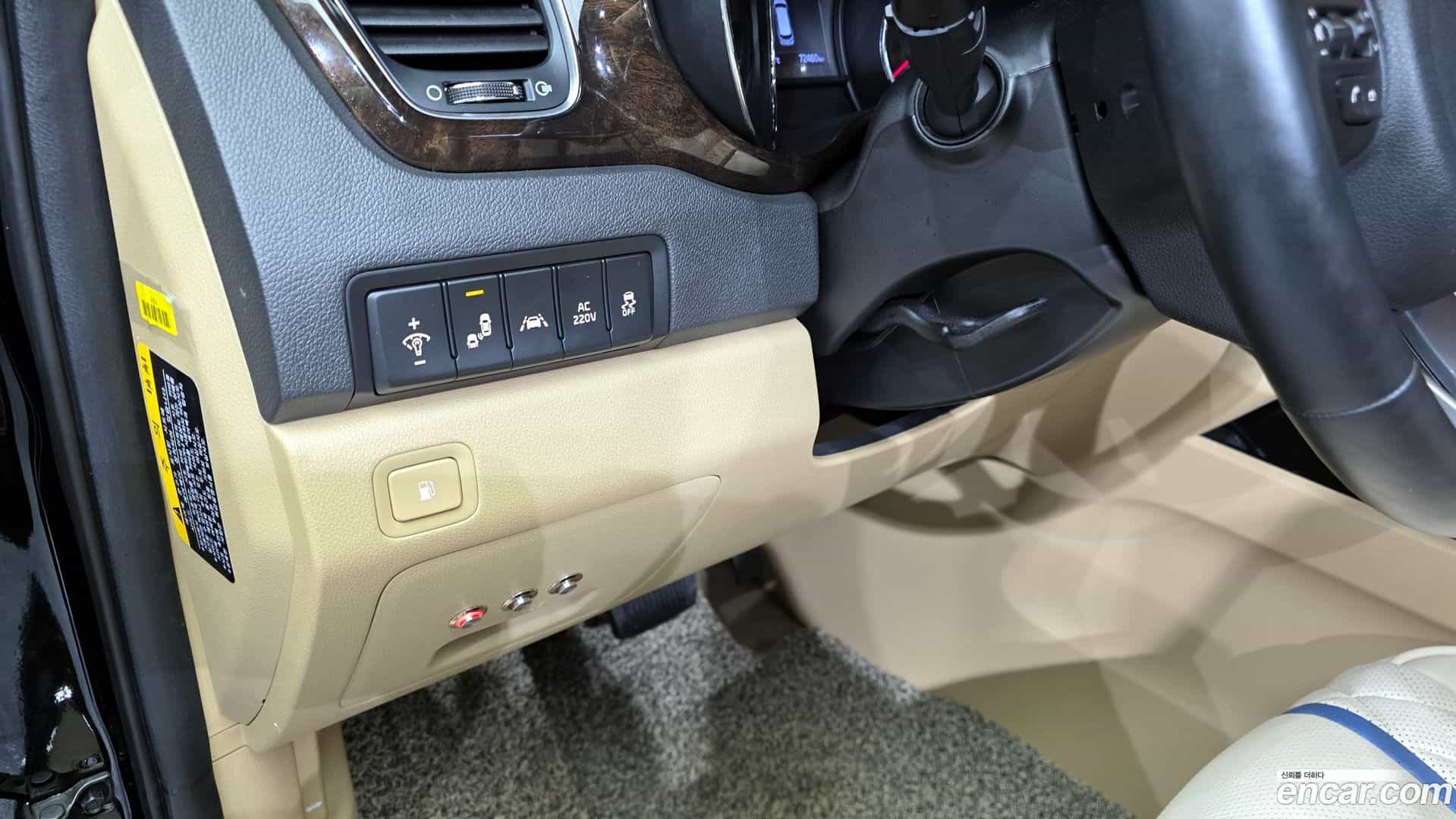 Canival Kia 2019.10-OPTION-019