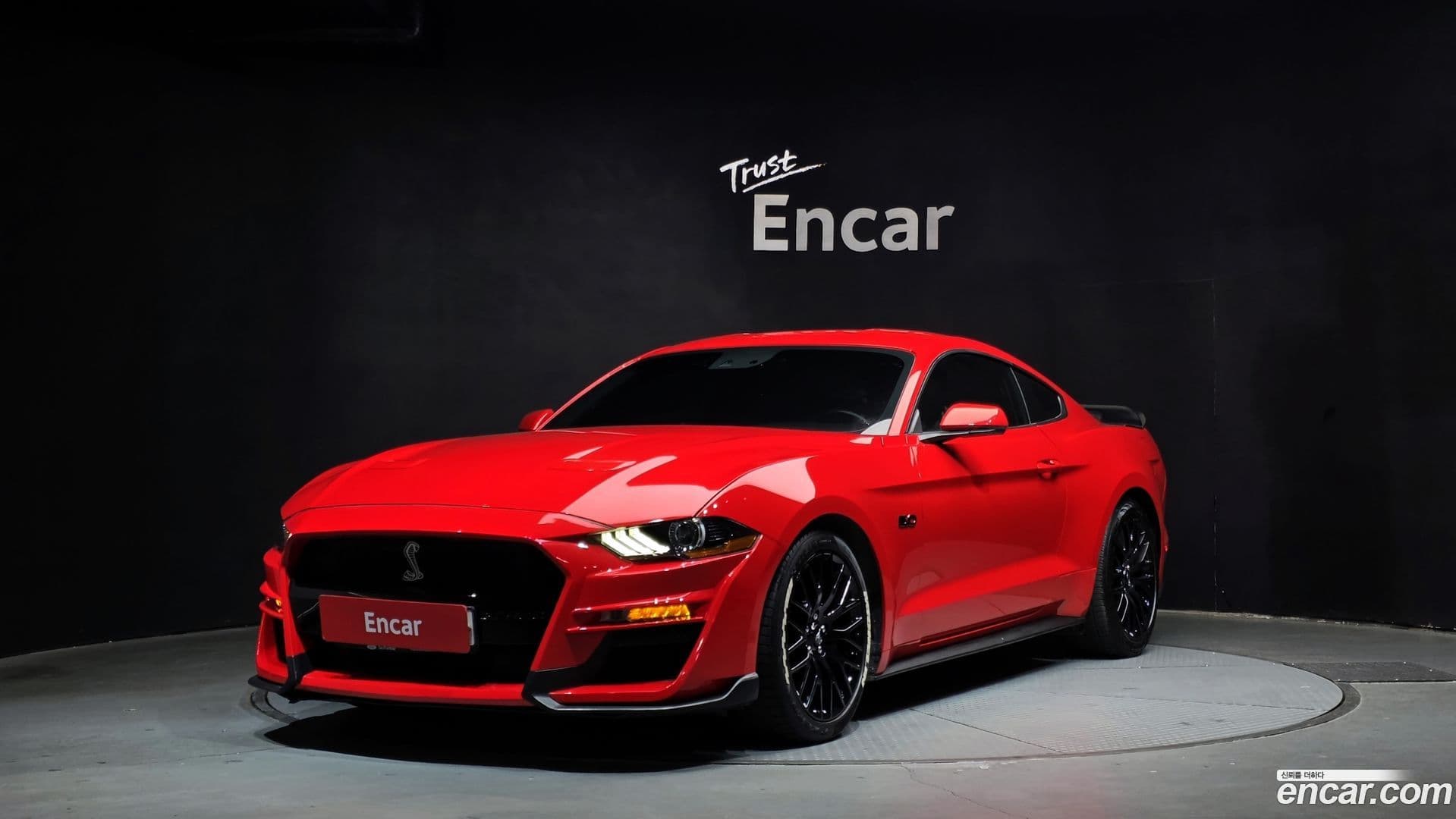 Main__Slider__Photo:Mustang Ford 2019.8-0
