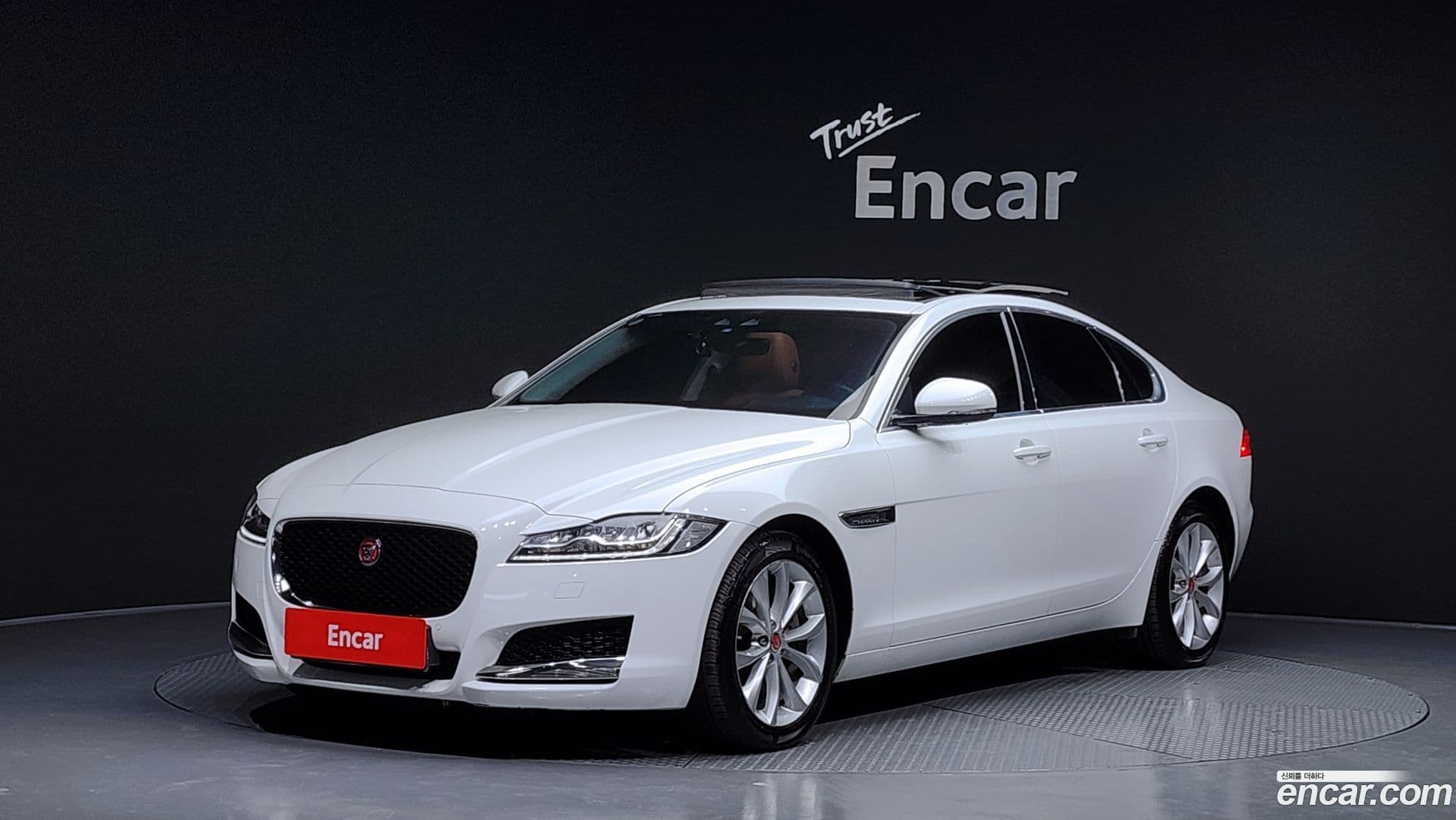 Main__Slider__Photo:XF Jaguar 2019.5-0