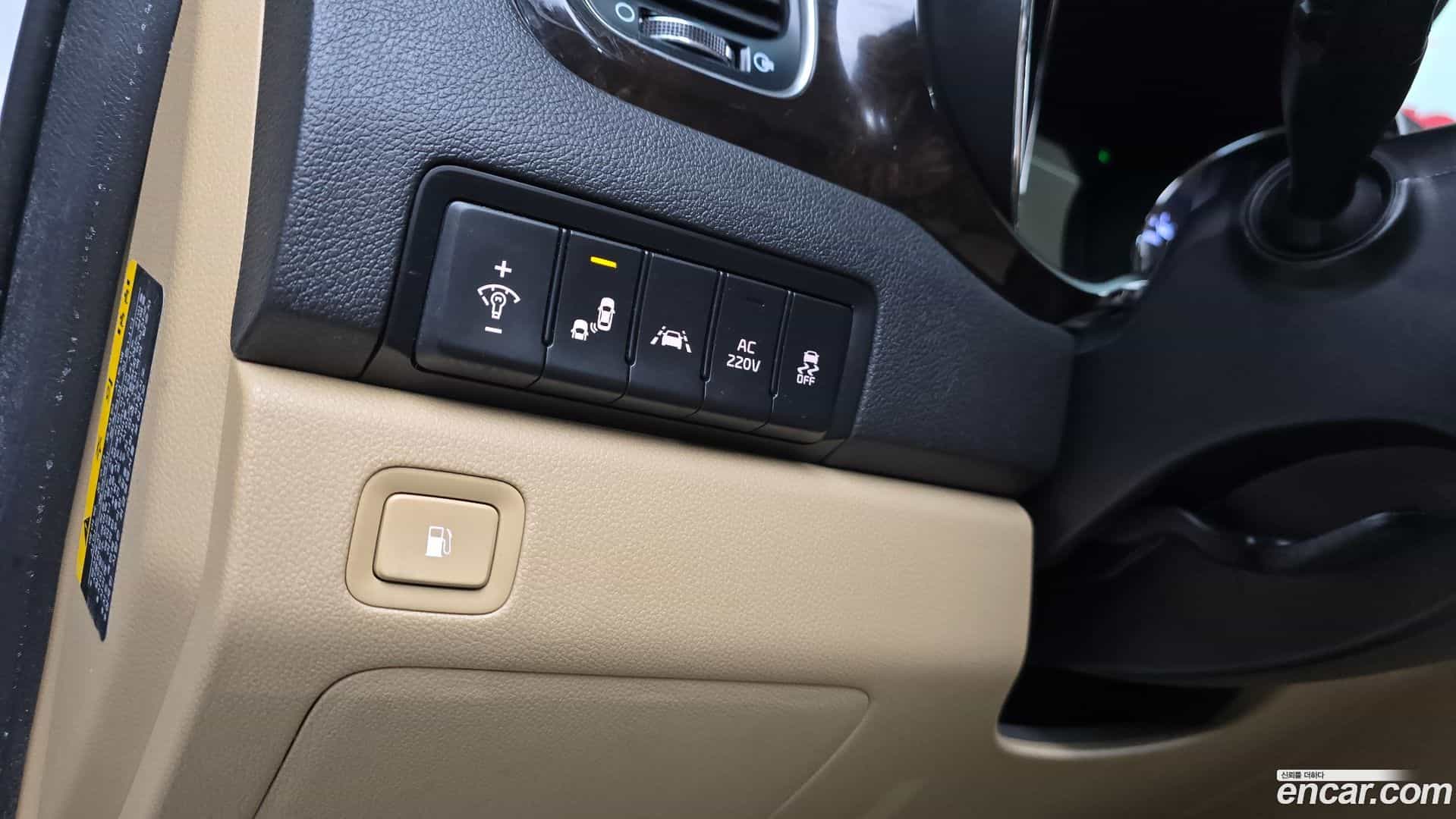 Canival Kia 2019.8-OPTION-018