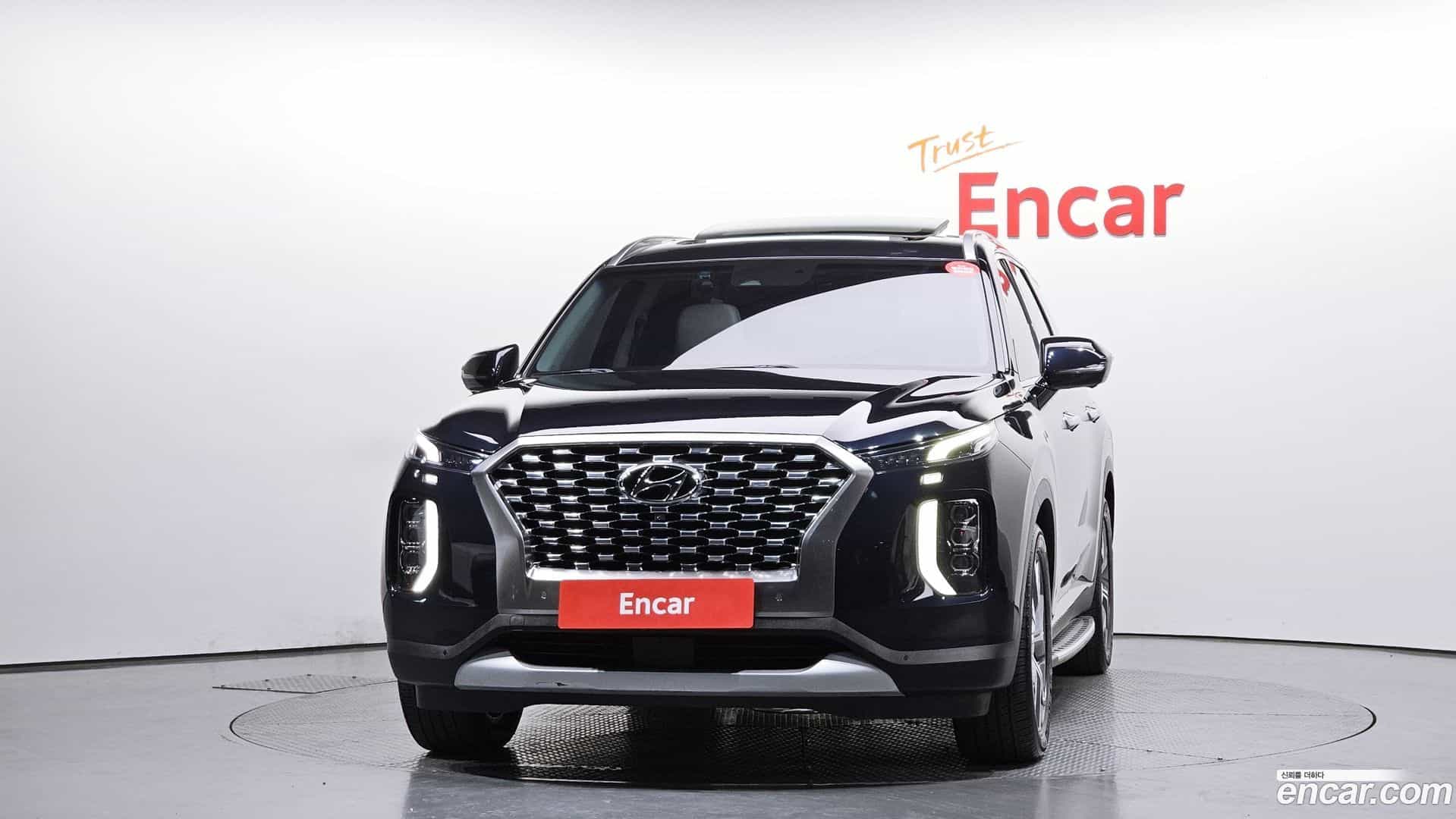 Palisade Hyundai 2019.1-OUTER-003