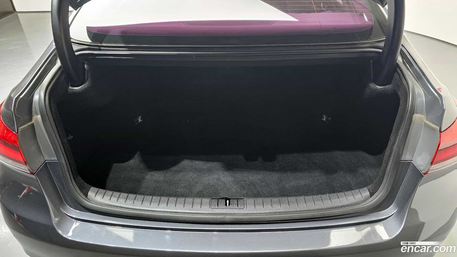 Genesis Hyundai 2016.3-OPTION-024