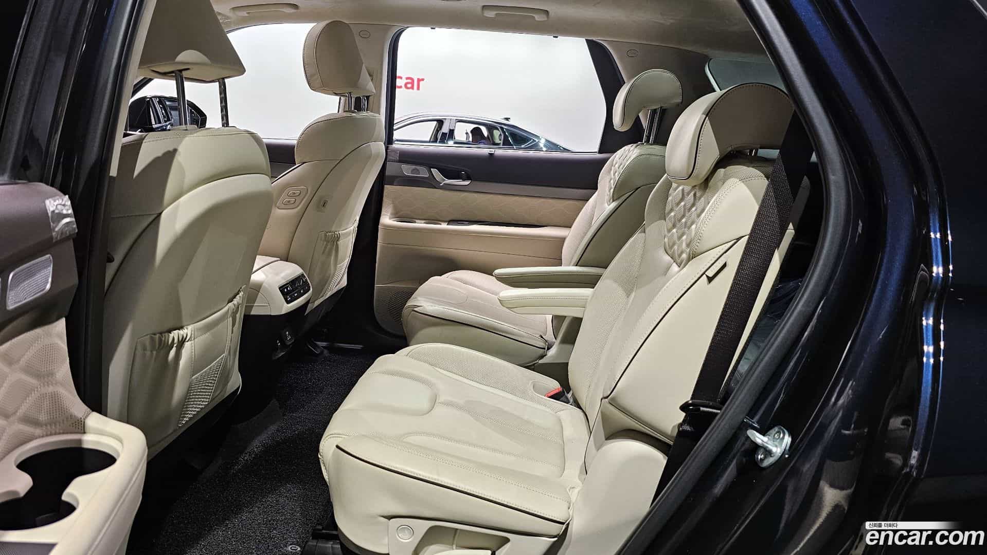 Palisade Hyundai 2020.11-OPTION-016