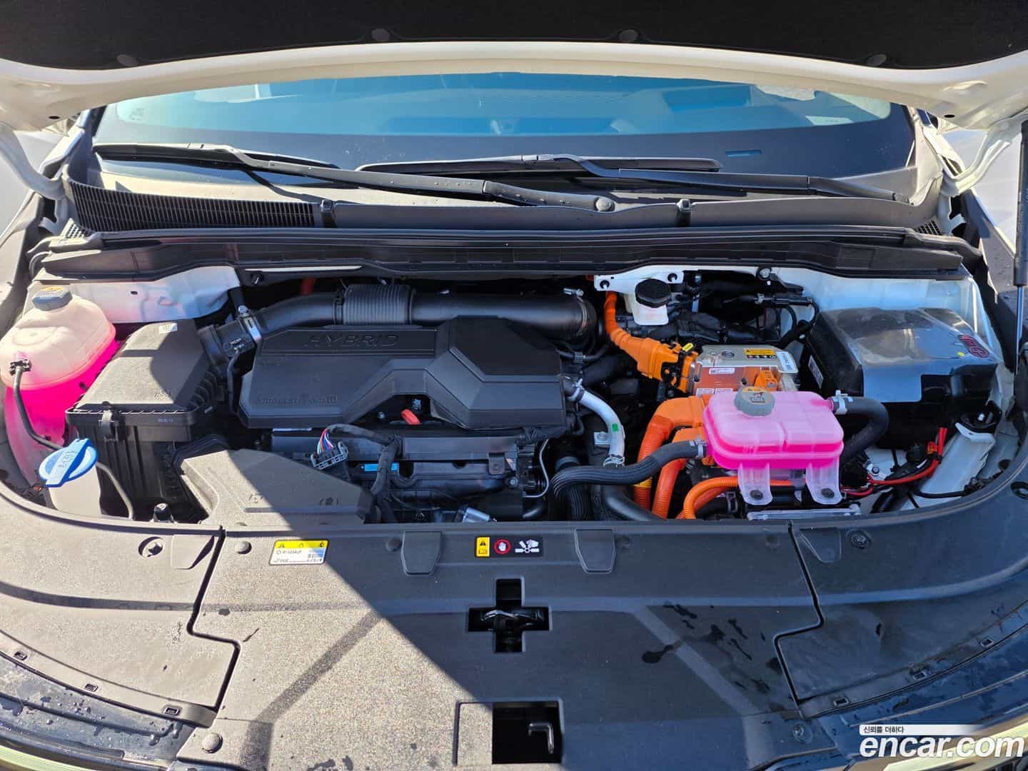 Canival Kia 2025.3-INNER-007
