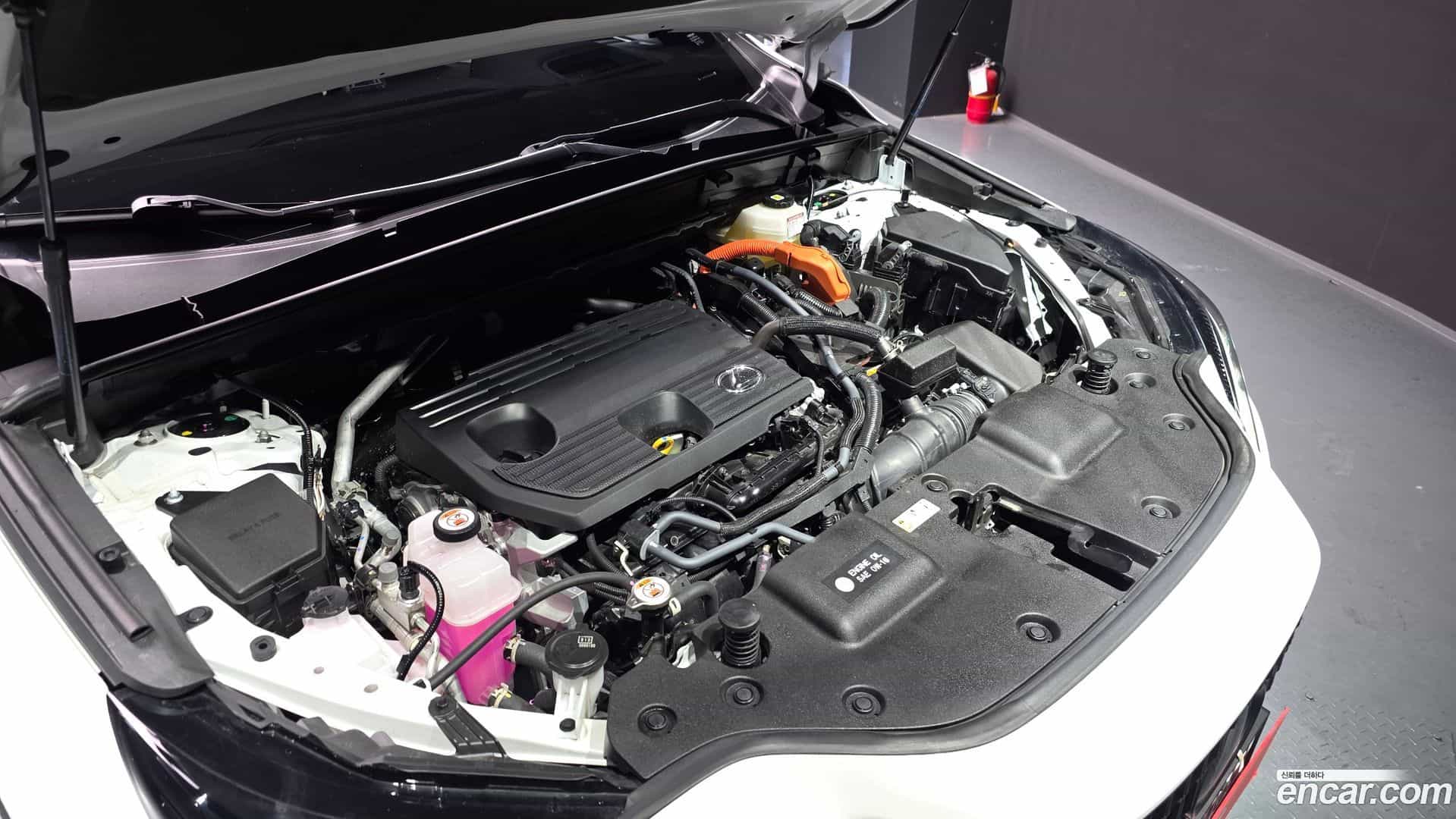 NX Lexus 2024.10-INNER-006