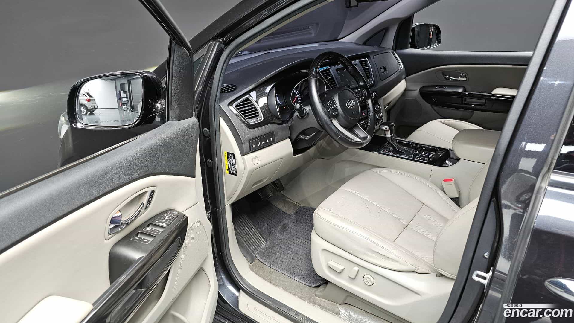 Canival Kia 2019.3-OPTION-016