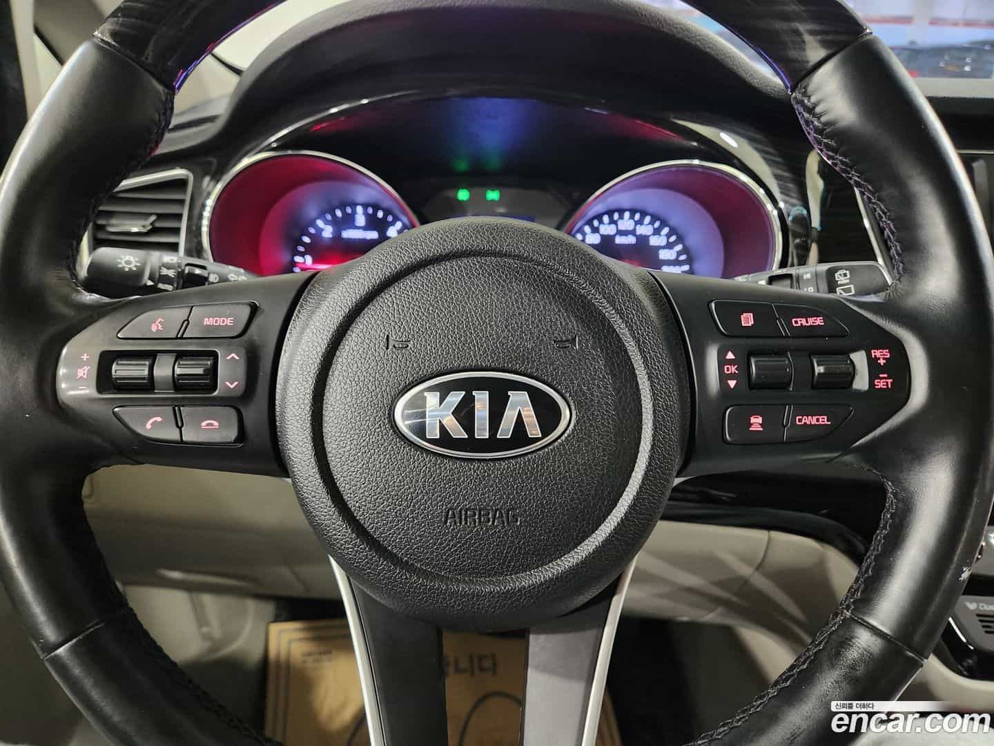 Canival Kia 2019.6-OPTION-016