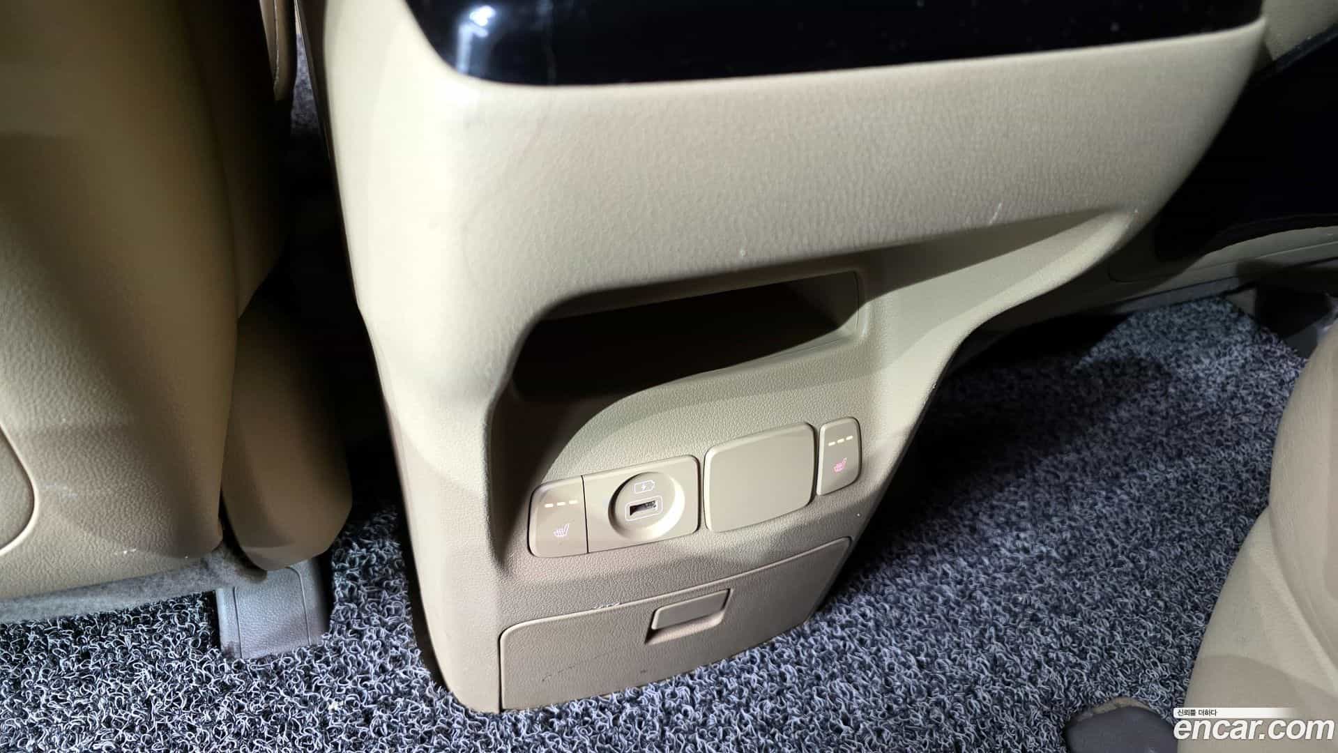 Canival Kia 2019.4-OPTION-023