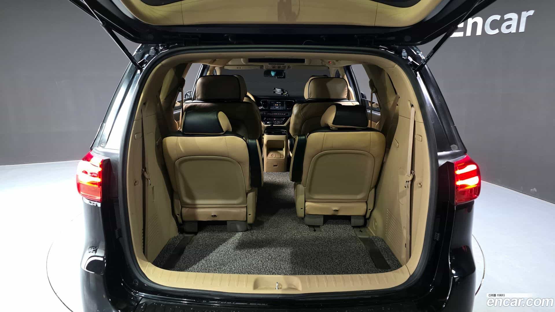 Canival Kia 2019.4-OPTION-024