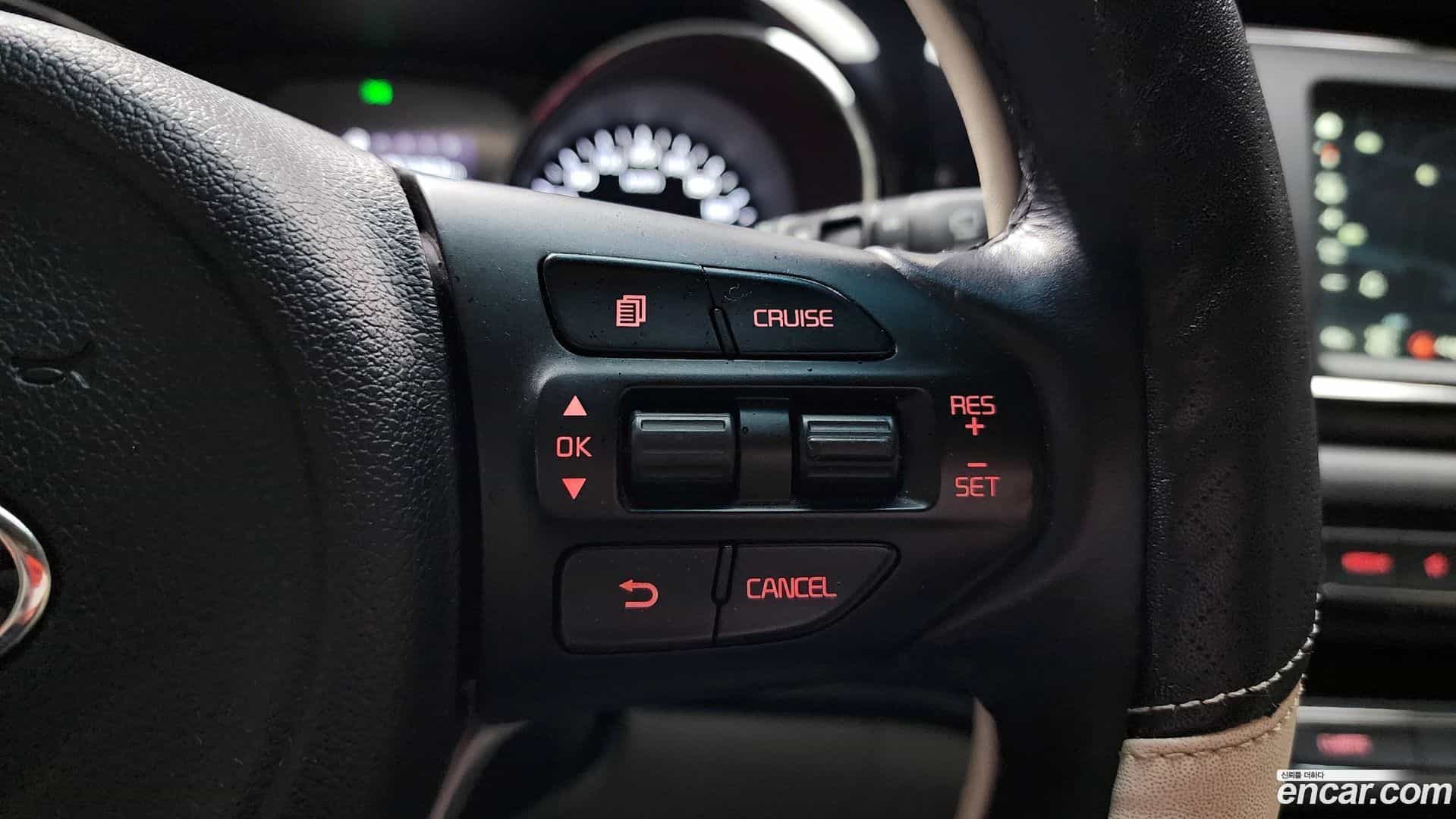 Canival Kia 2017.6-OPTION-024