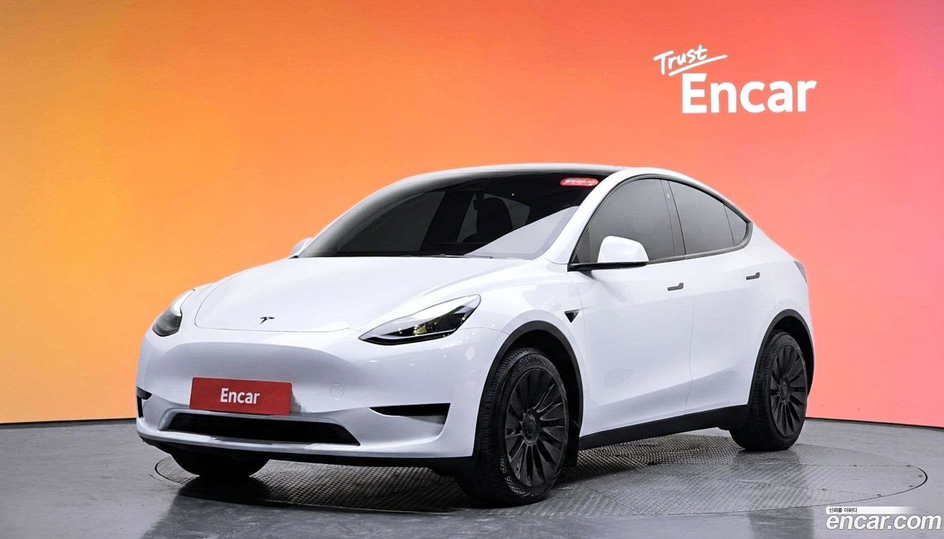 Main__Slider__Photo:Model Y Tesla 2023.8-0