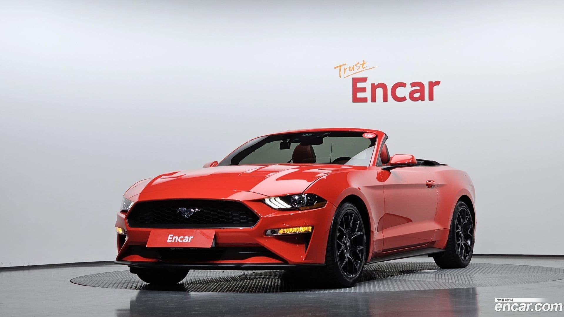 Main__Slider__Photo:Mustang Ford 2022.5-0