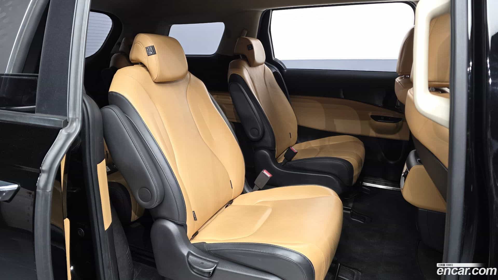 Canival Kia 2022.10-OPTION-016